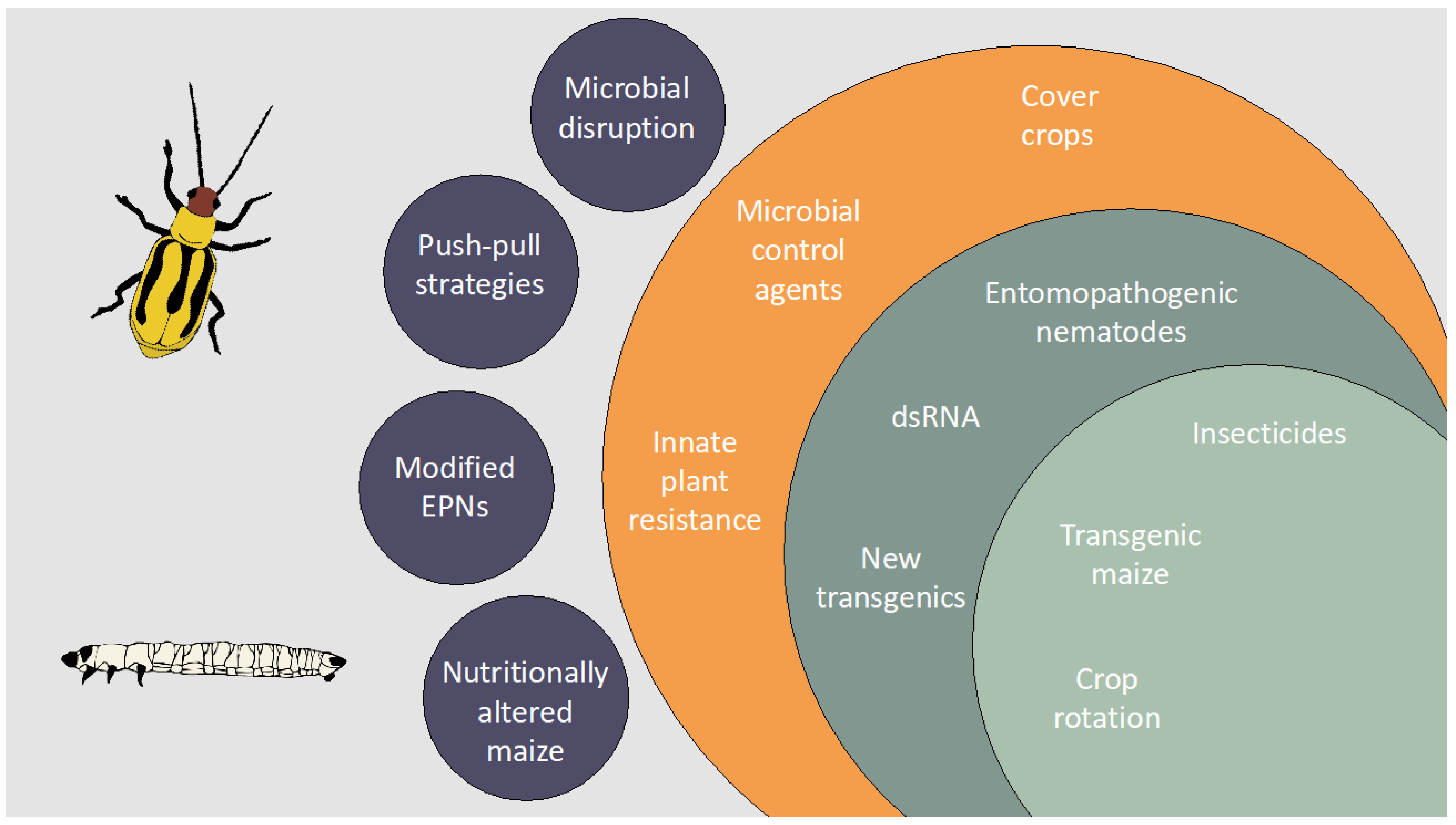 Insects 12 00171 g001 Insects 12 00171 g001