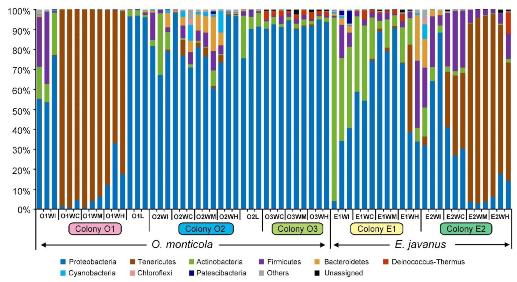 Insects 12 00176 g001 Insects 12 00176 g001