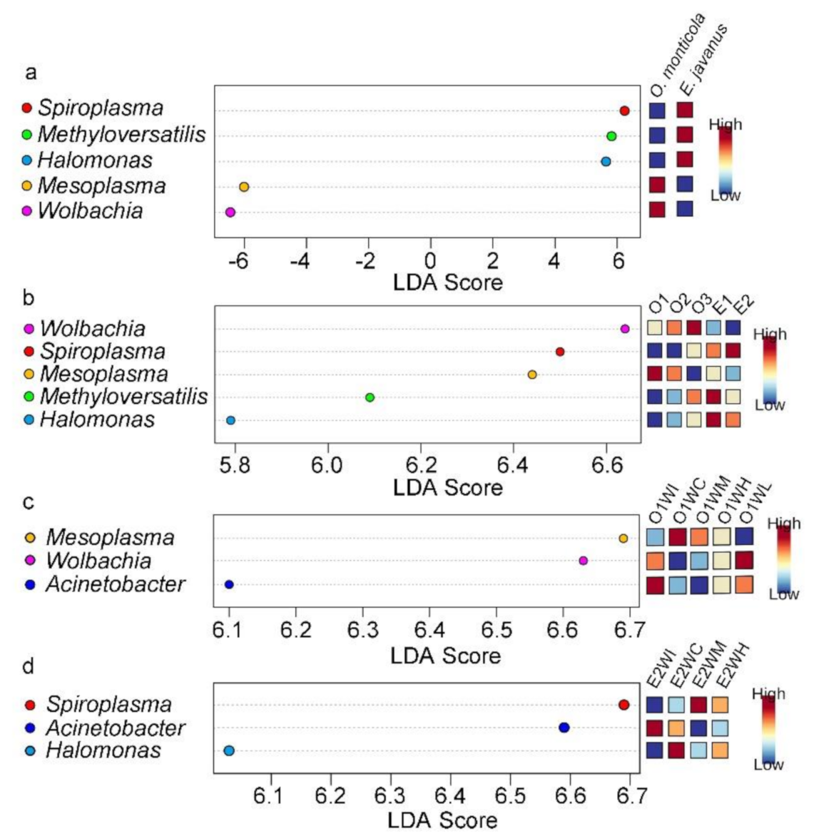 Insects 12 00176 g005 Insects 12 00176 g005