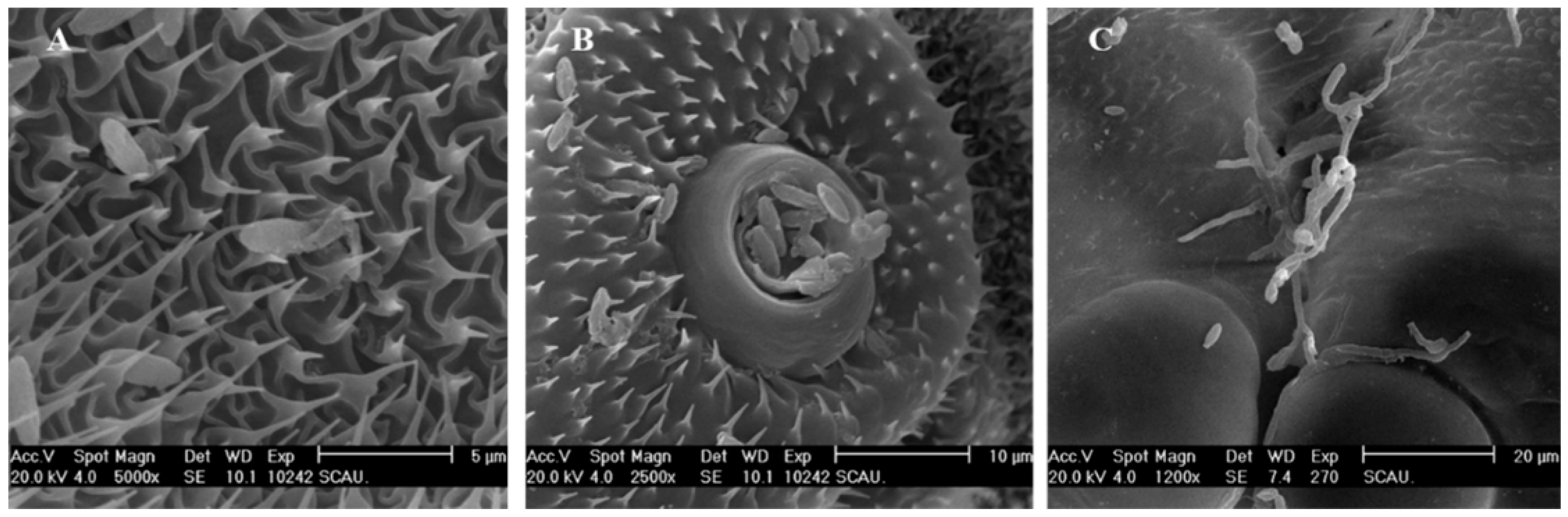 Insects 12 00179 g002