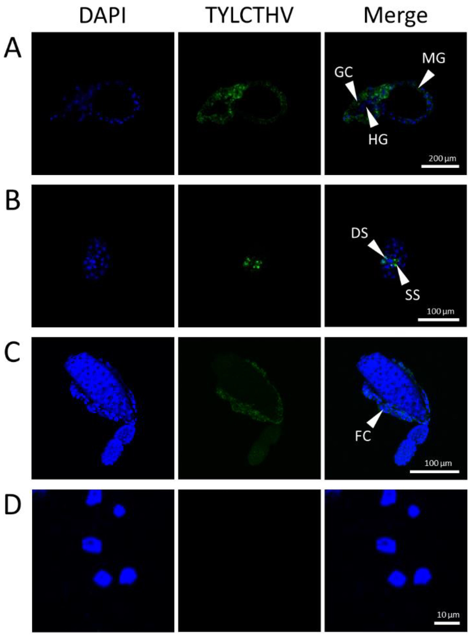 Insects 12 00181 g001 Insects 12 00181 g001
