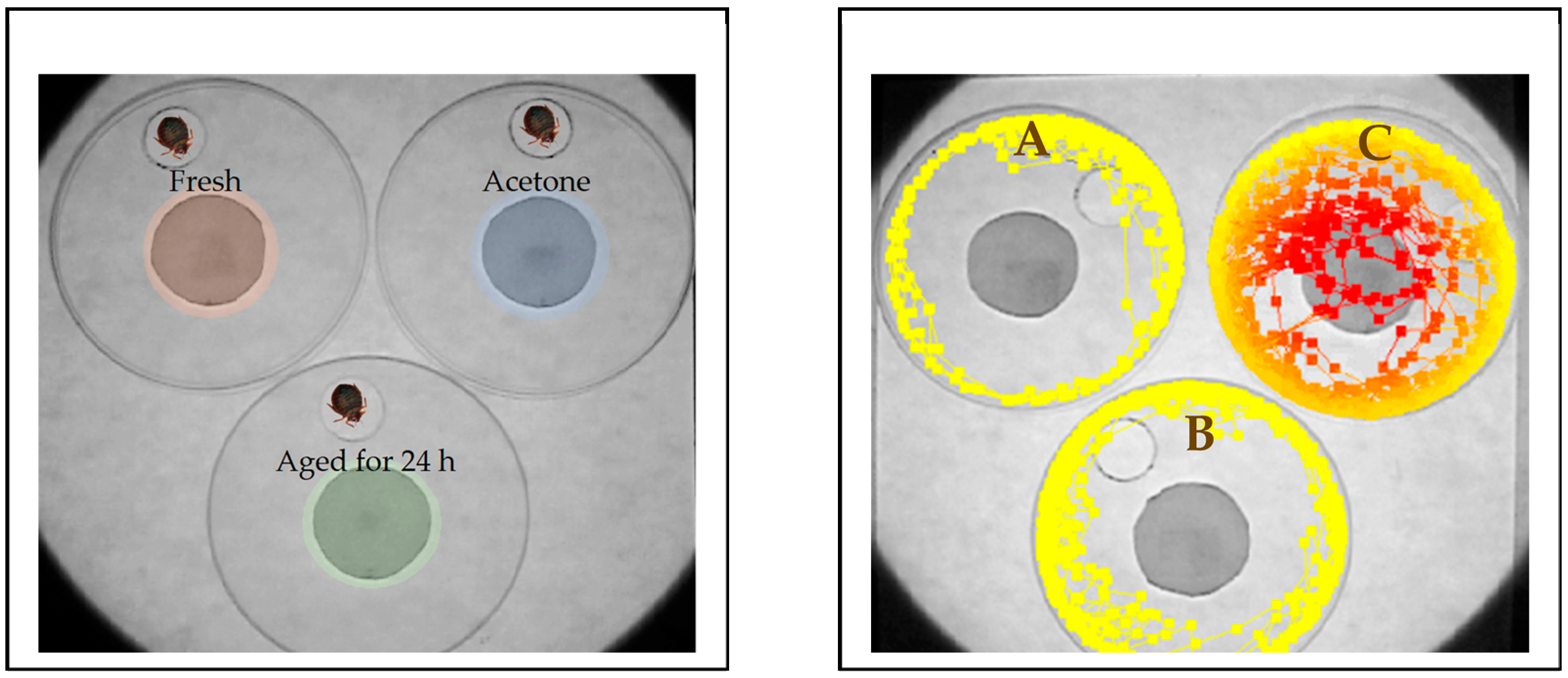 Insects 12 00184 g001