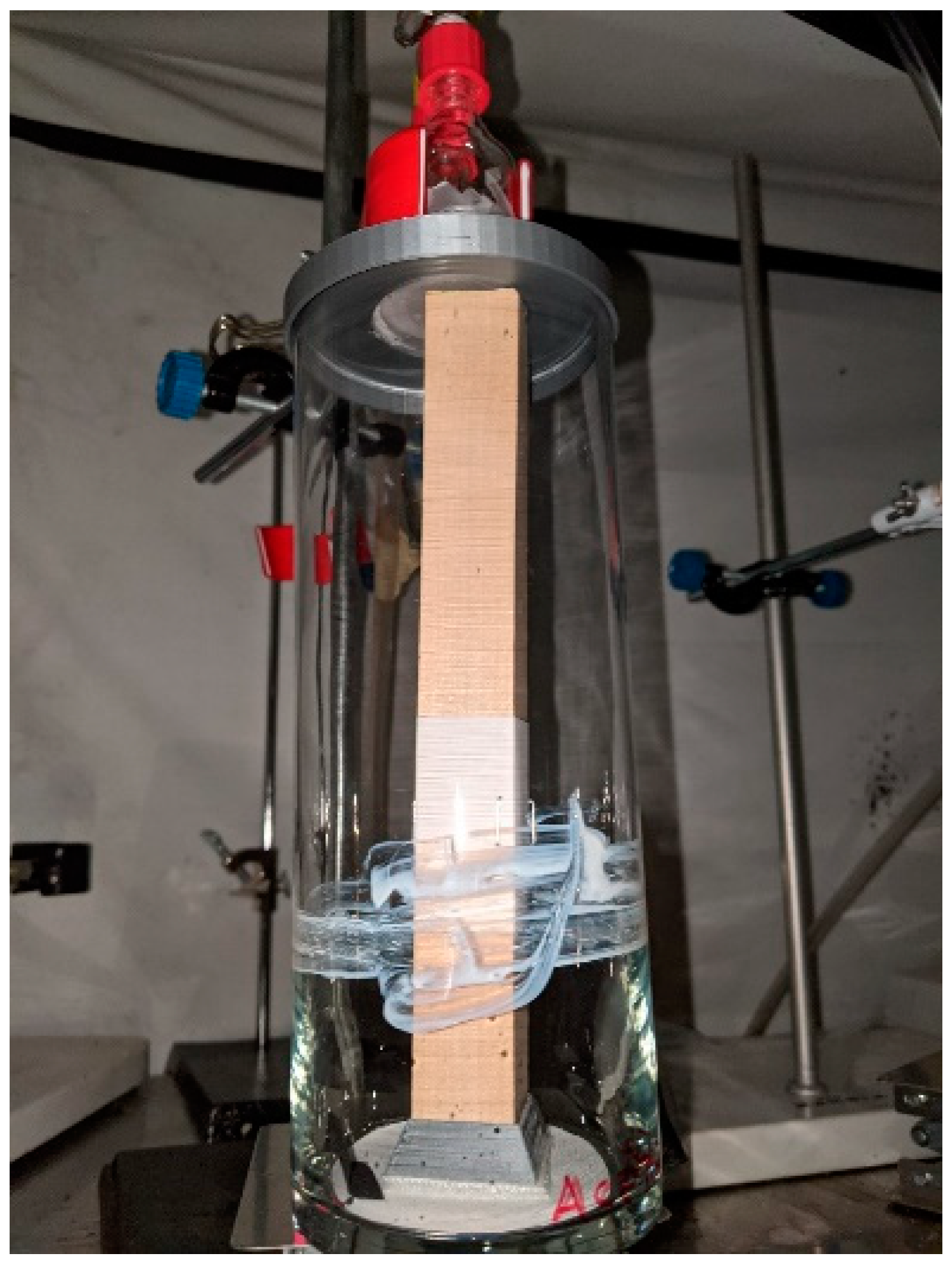 Insects 12 00184 g002