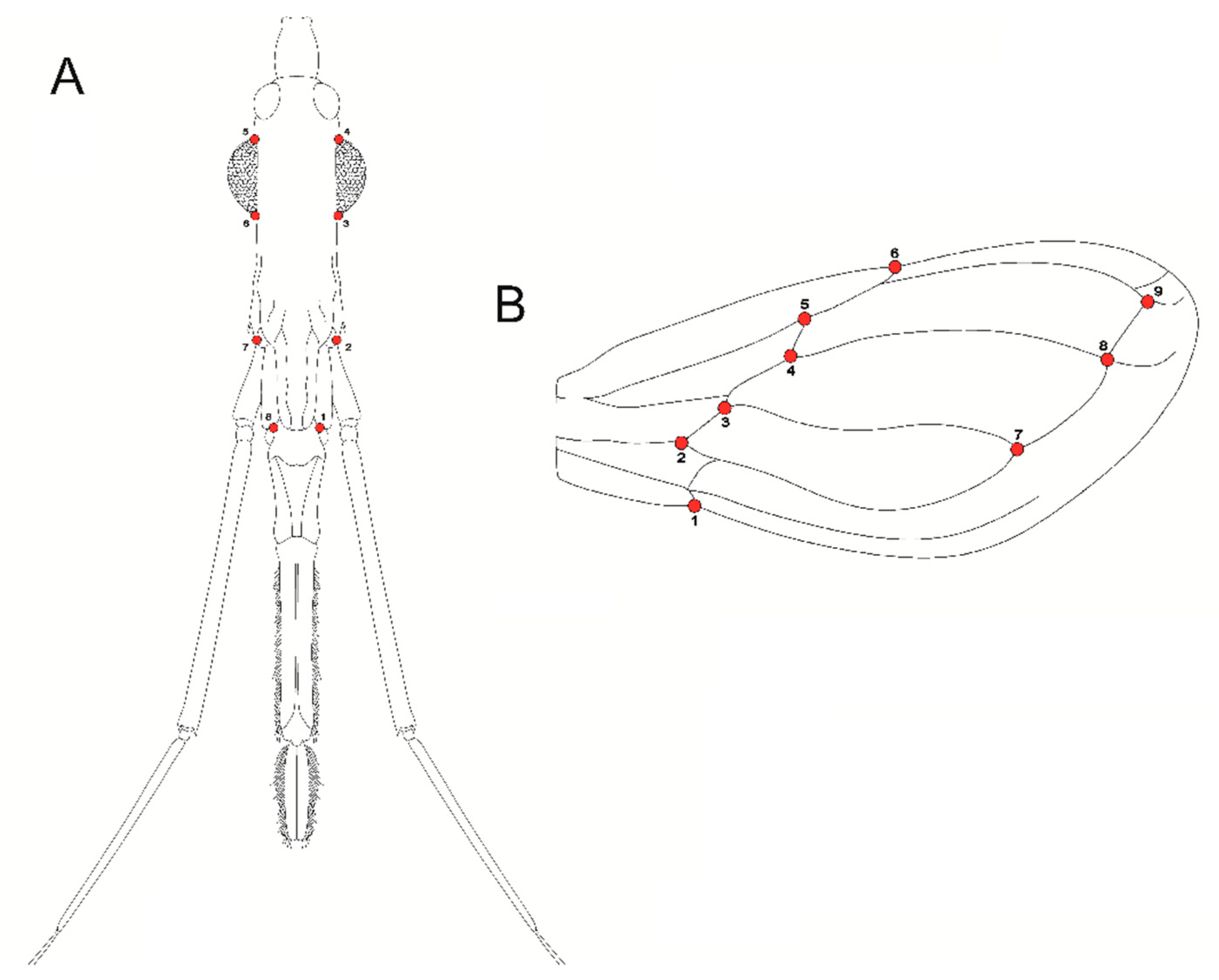 Insects 12 00185 g002 Insects 12 00185 g002