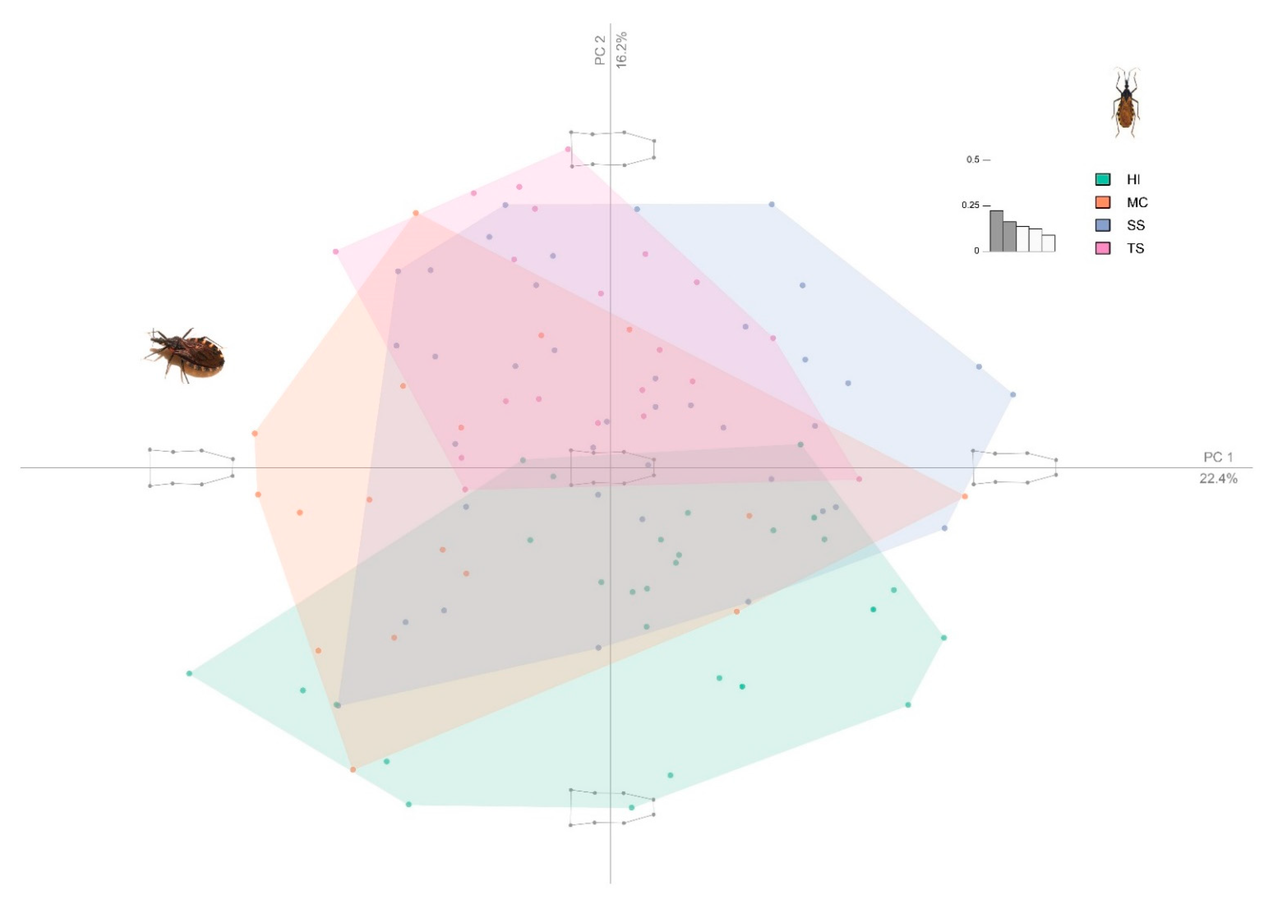 Insects 12 00185 g003 Insects 12 00185 g003