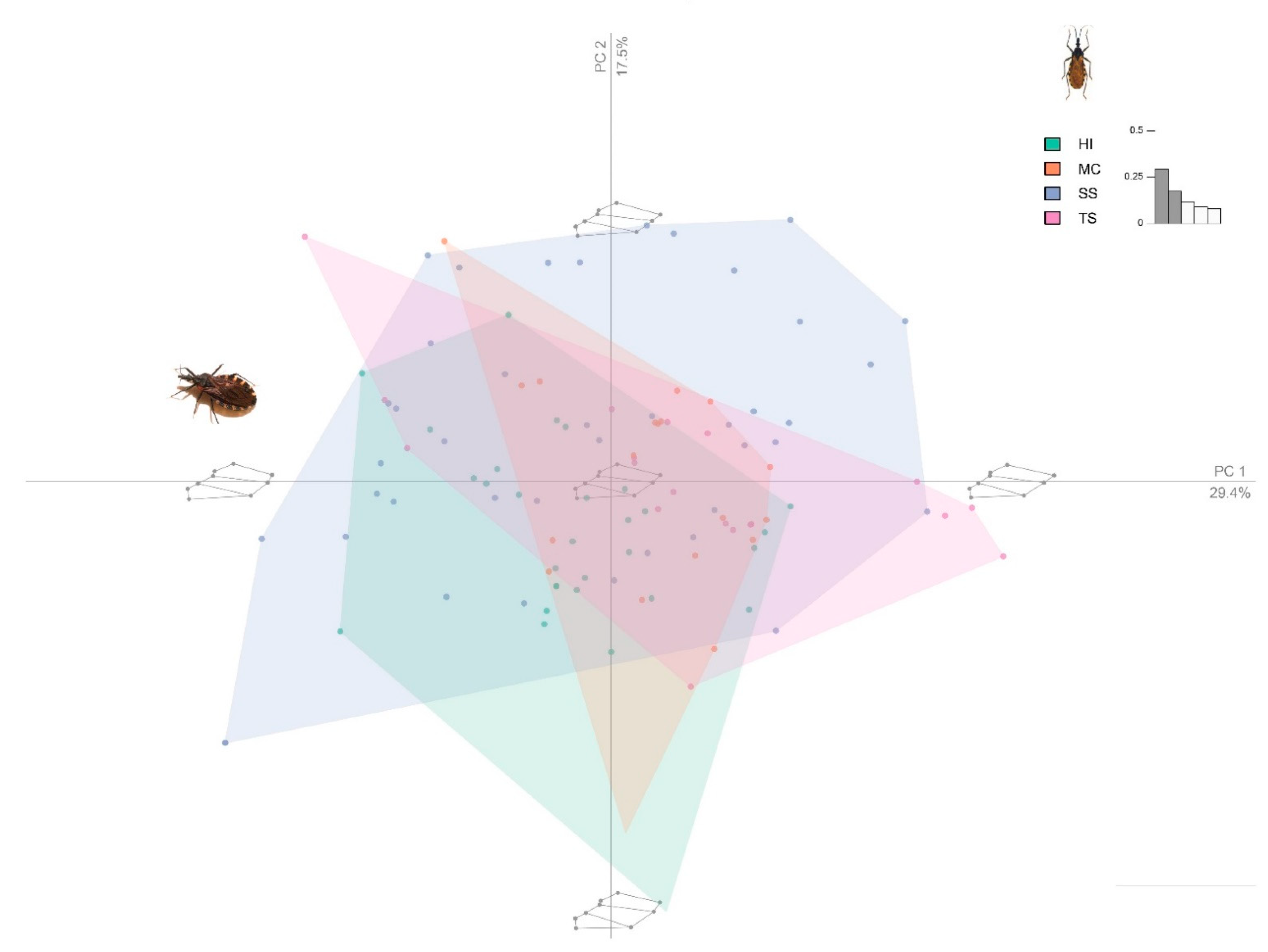 Insects 12 00185 g004 Insects 12 00185 g004