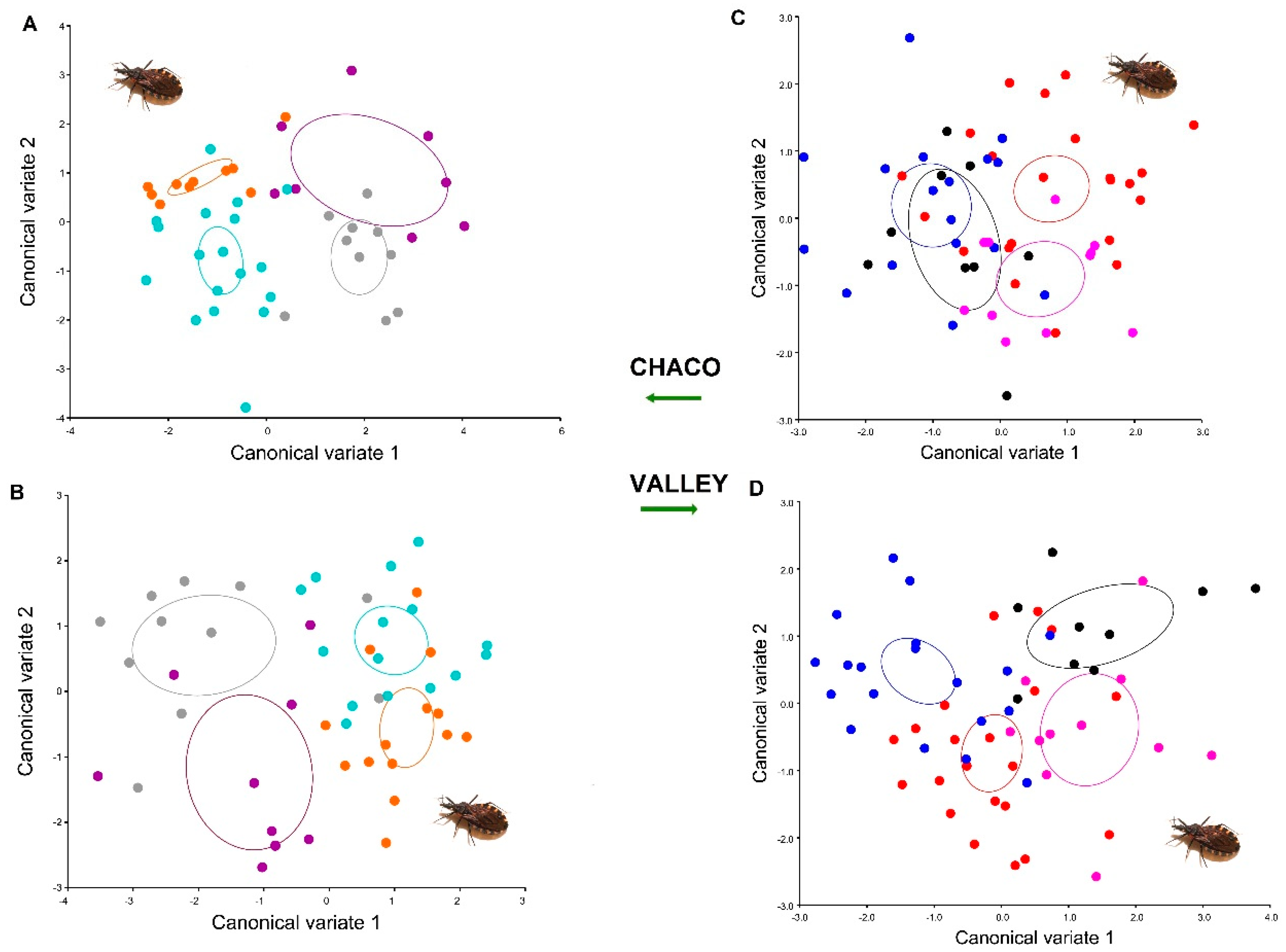 Insects 12 00185 g006 Insects 12 00185 g006