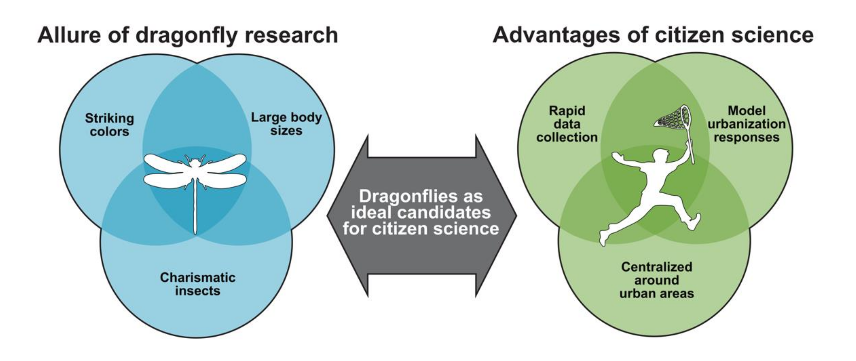 Insects 12 00190 g004 Insects 12 00190 g004