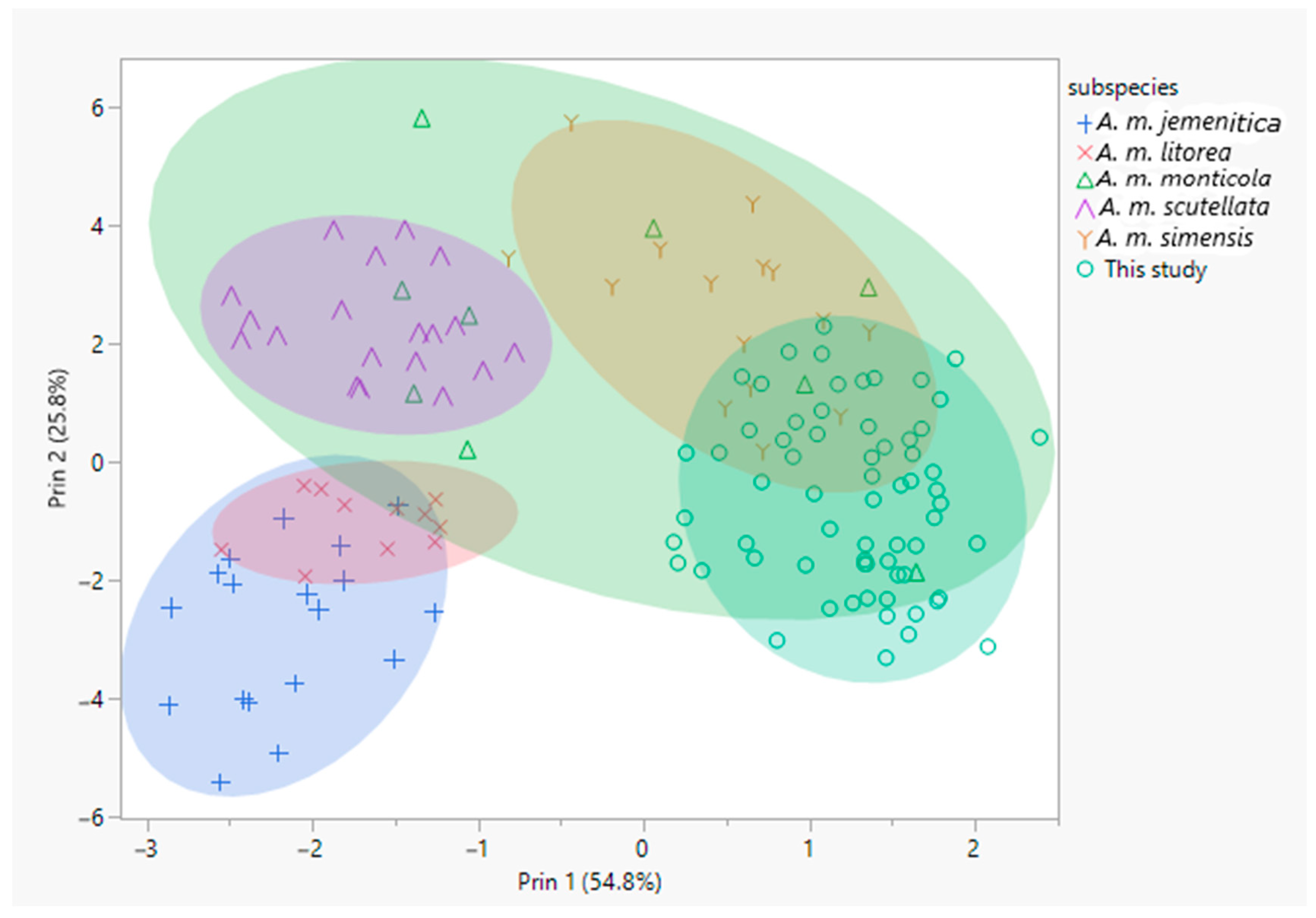 Insects 12 00193 g001