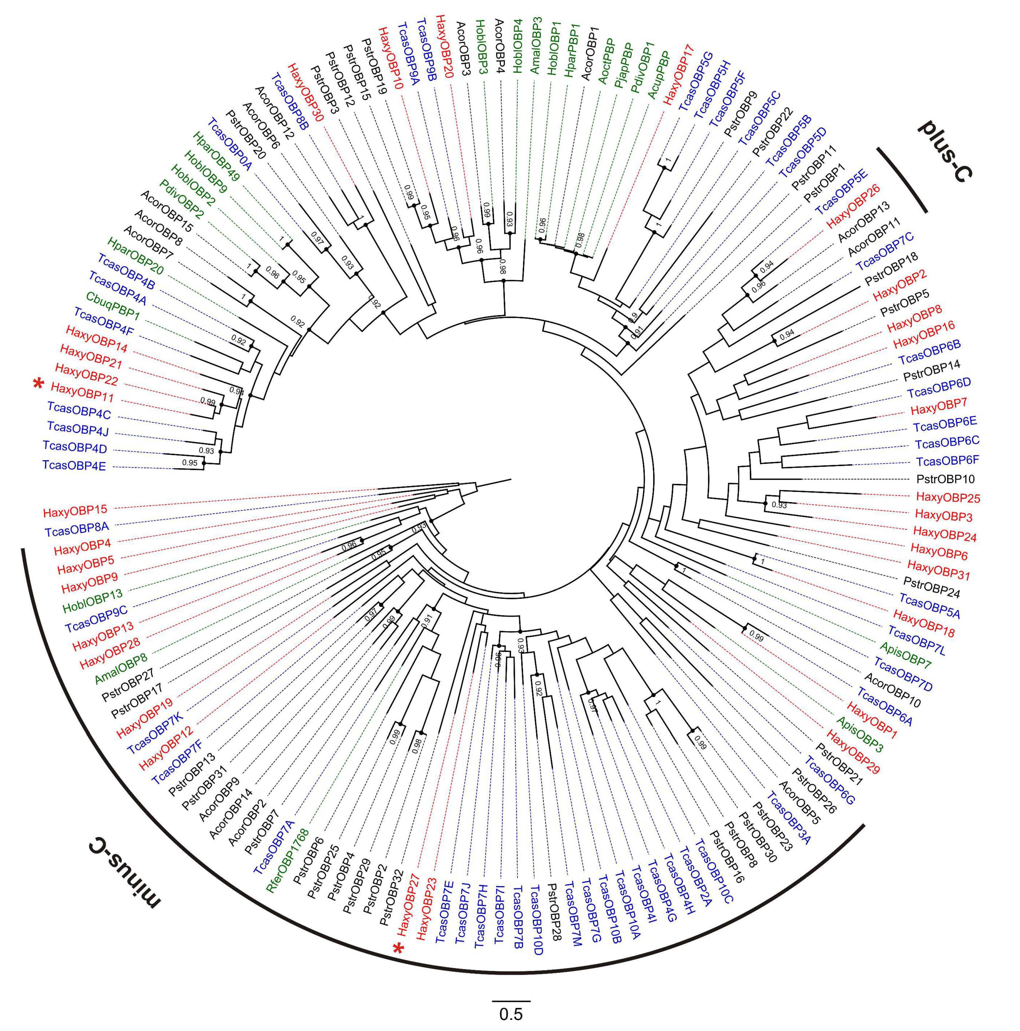 Insects 12 00209 g004
