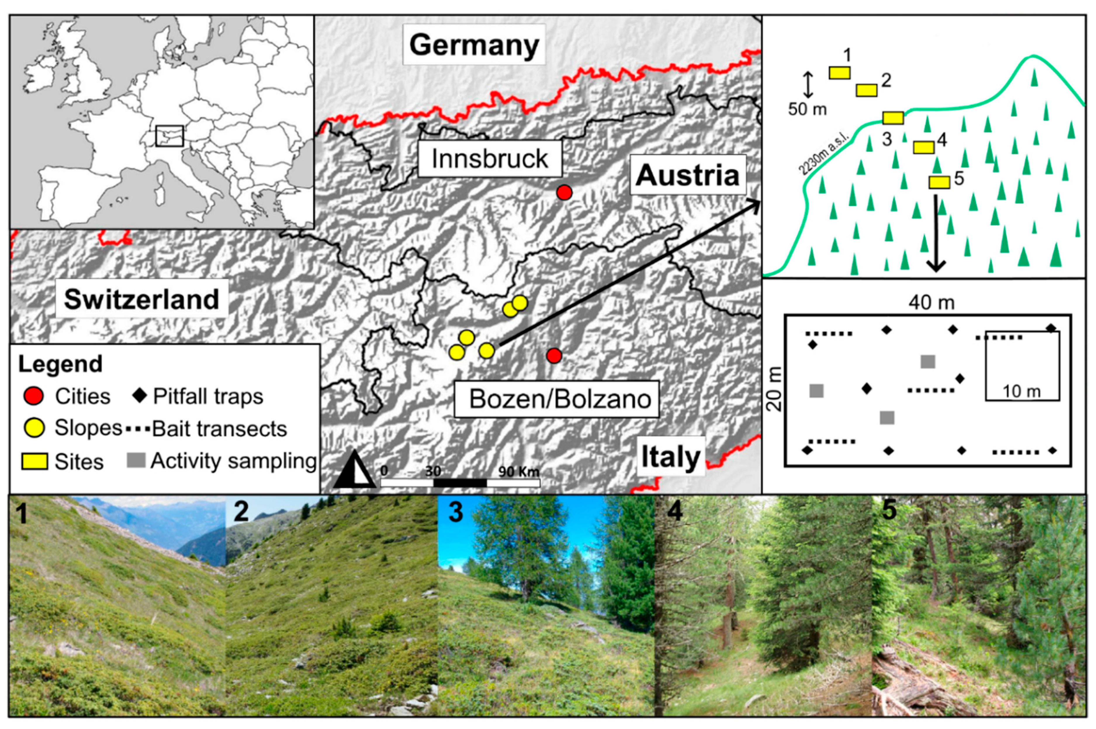 Insects 12 00219 g001 Insects 12 00219 g001
