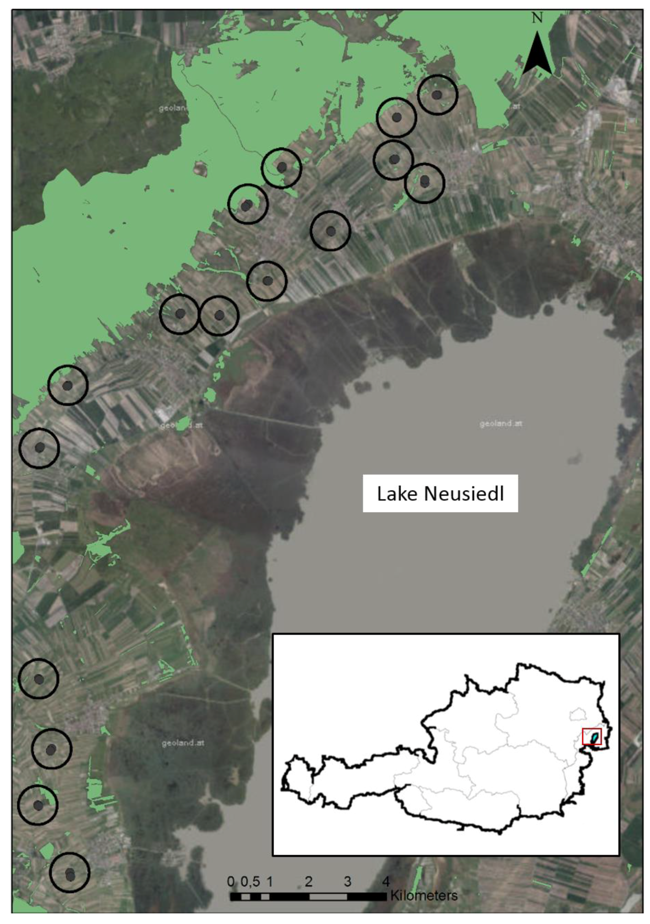 Insects 12 00220 g001 Insects 12 00220 g001