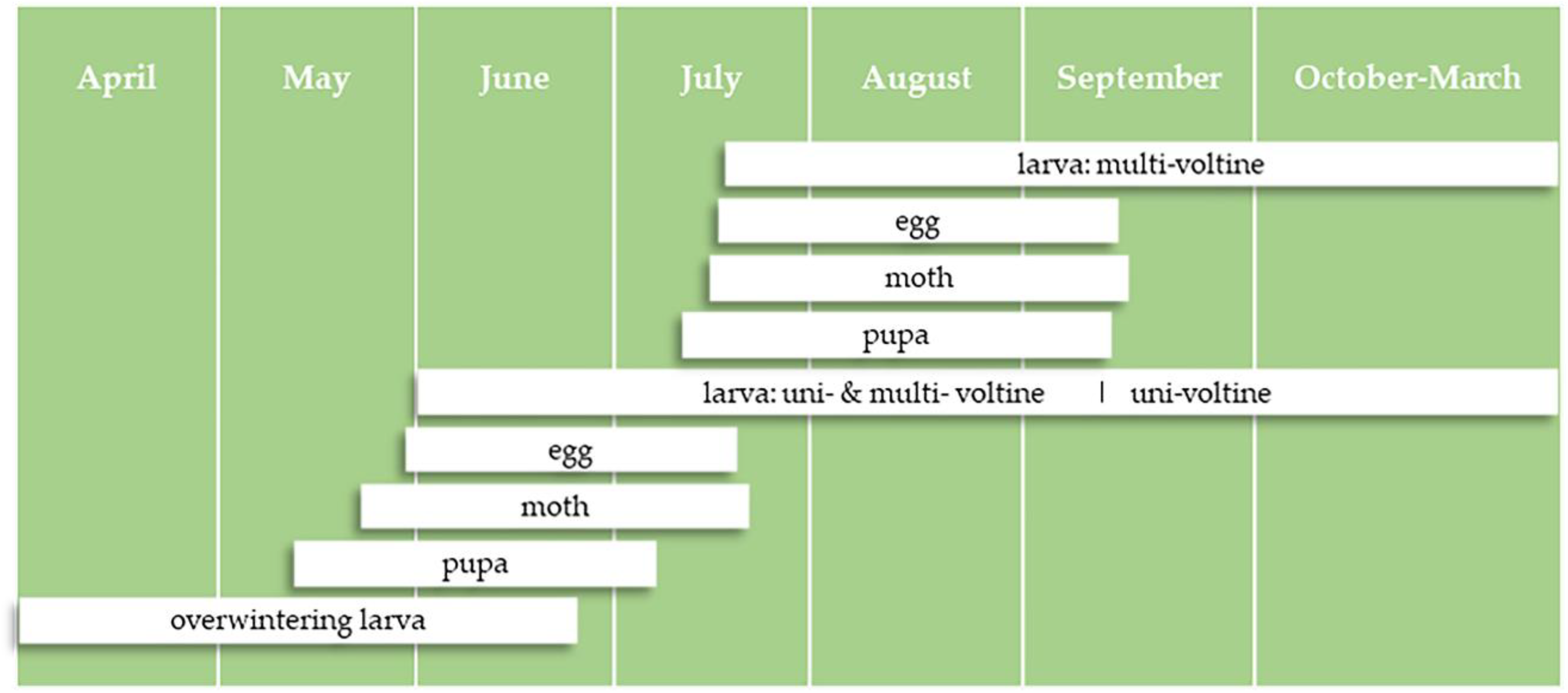 Insects 12 00232 g001 Insects 12 00232 g001
