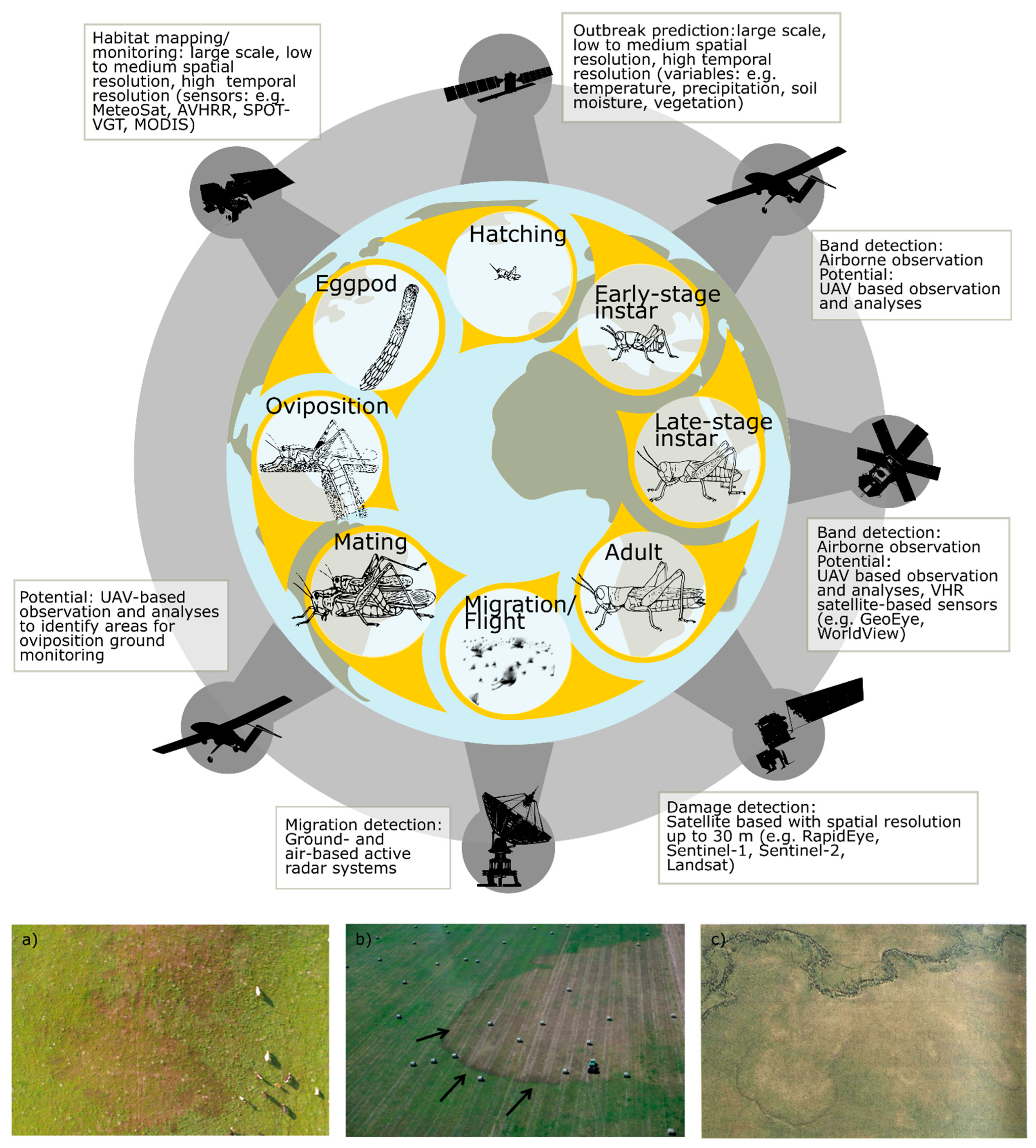 Insects 12 00233 g003
