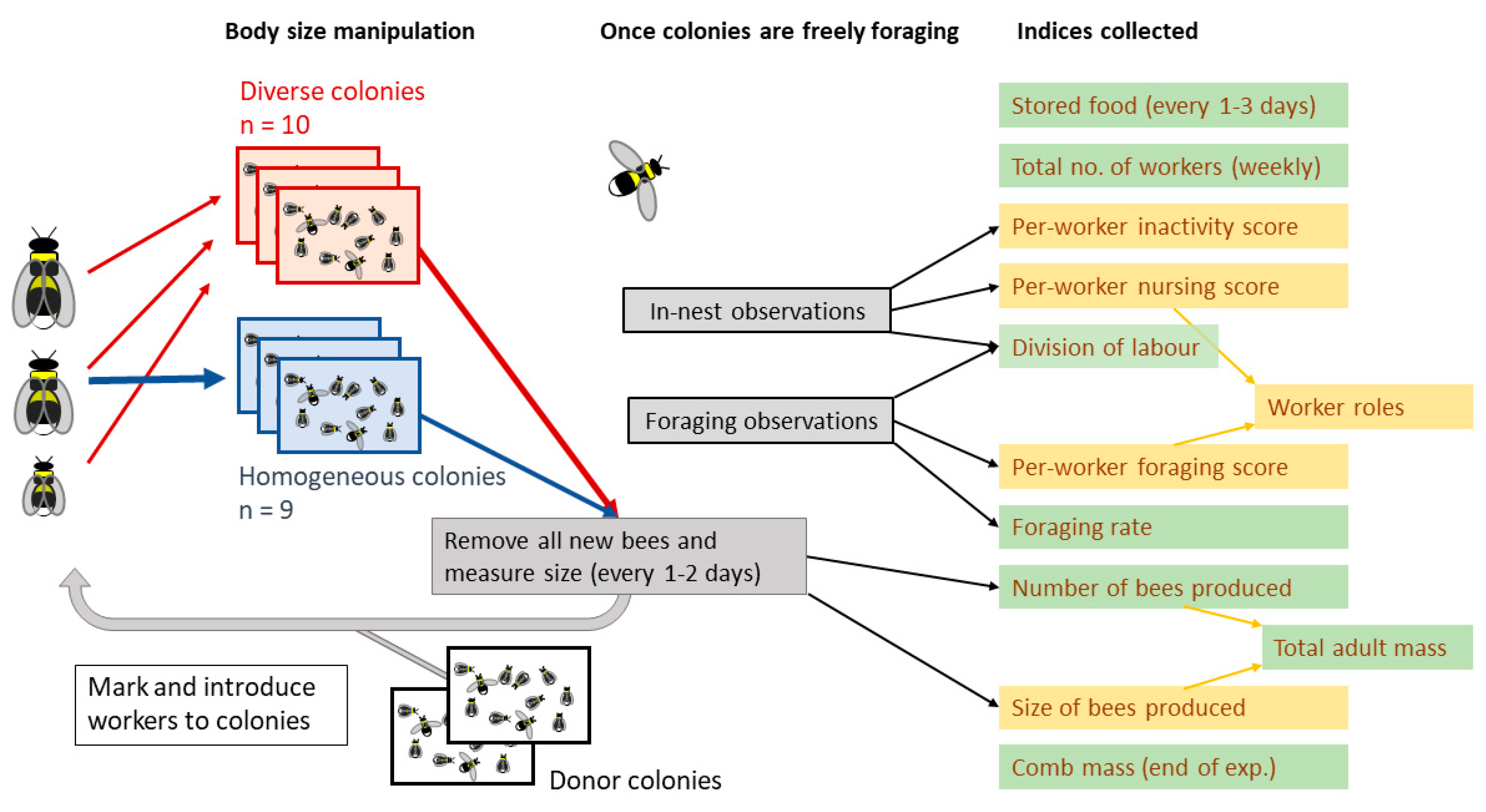Insects 12 00236 g001 Insects 12 00236 g001