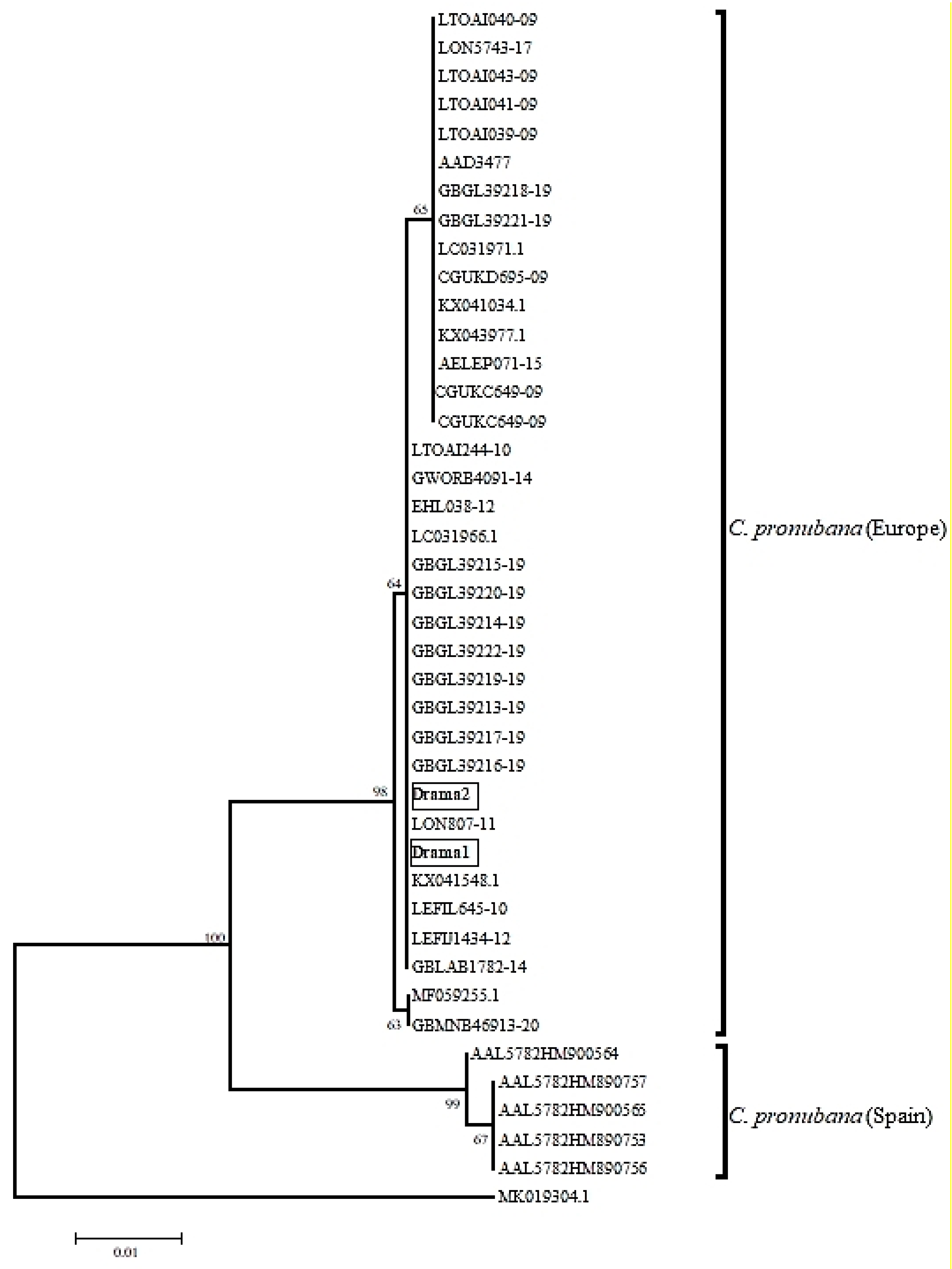 Insects 12 00245 g002