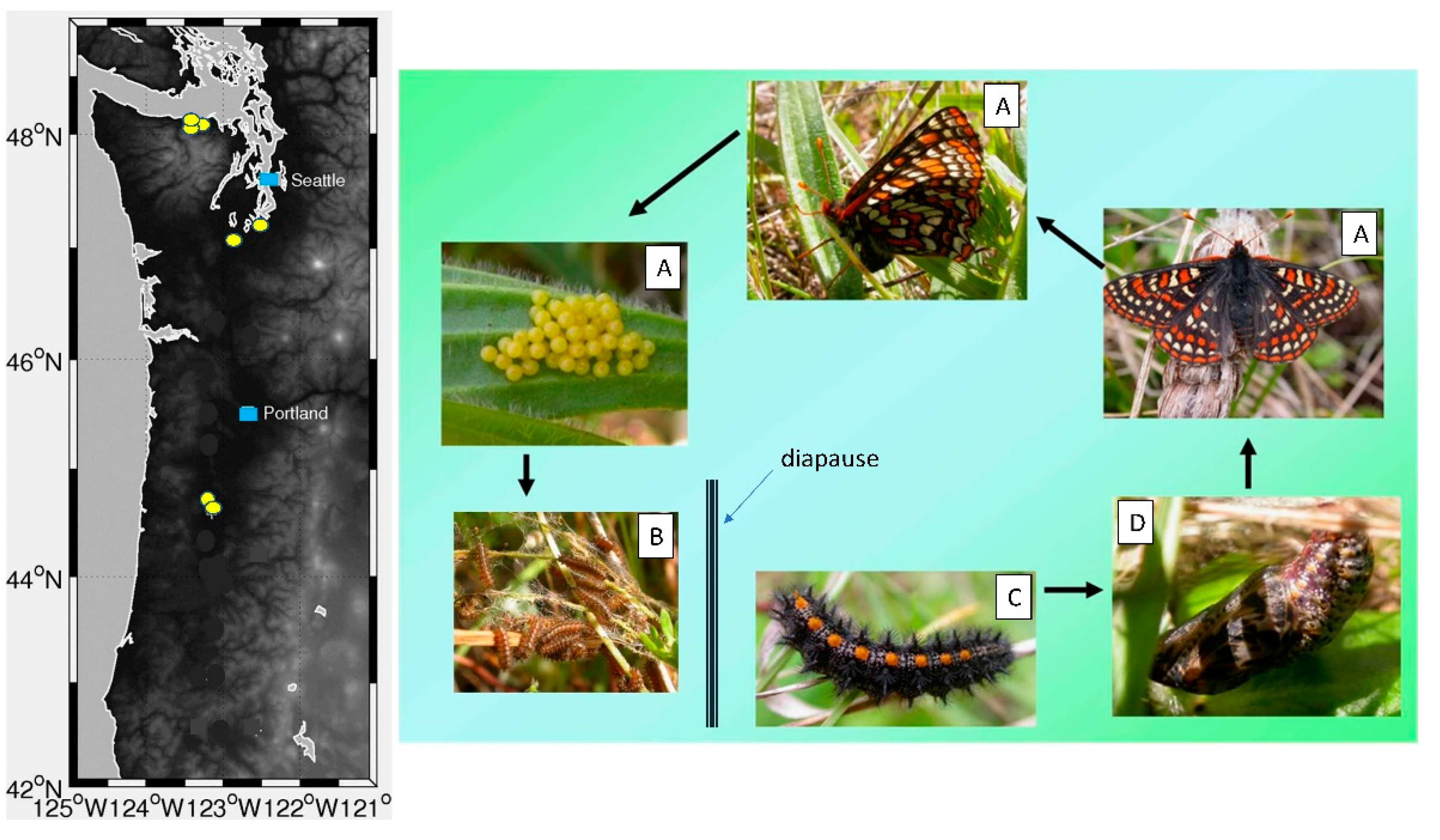 Insects 12 00246 g001