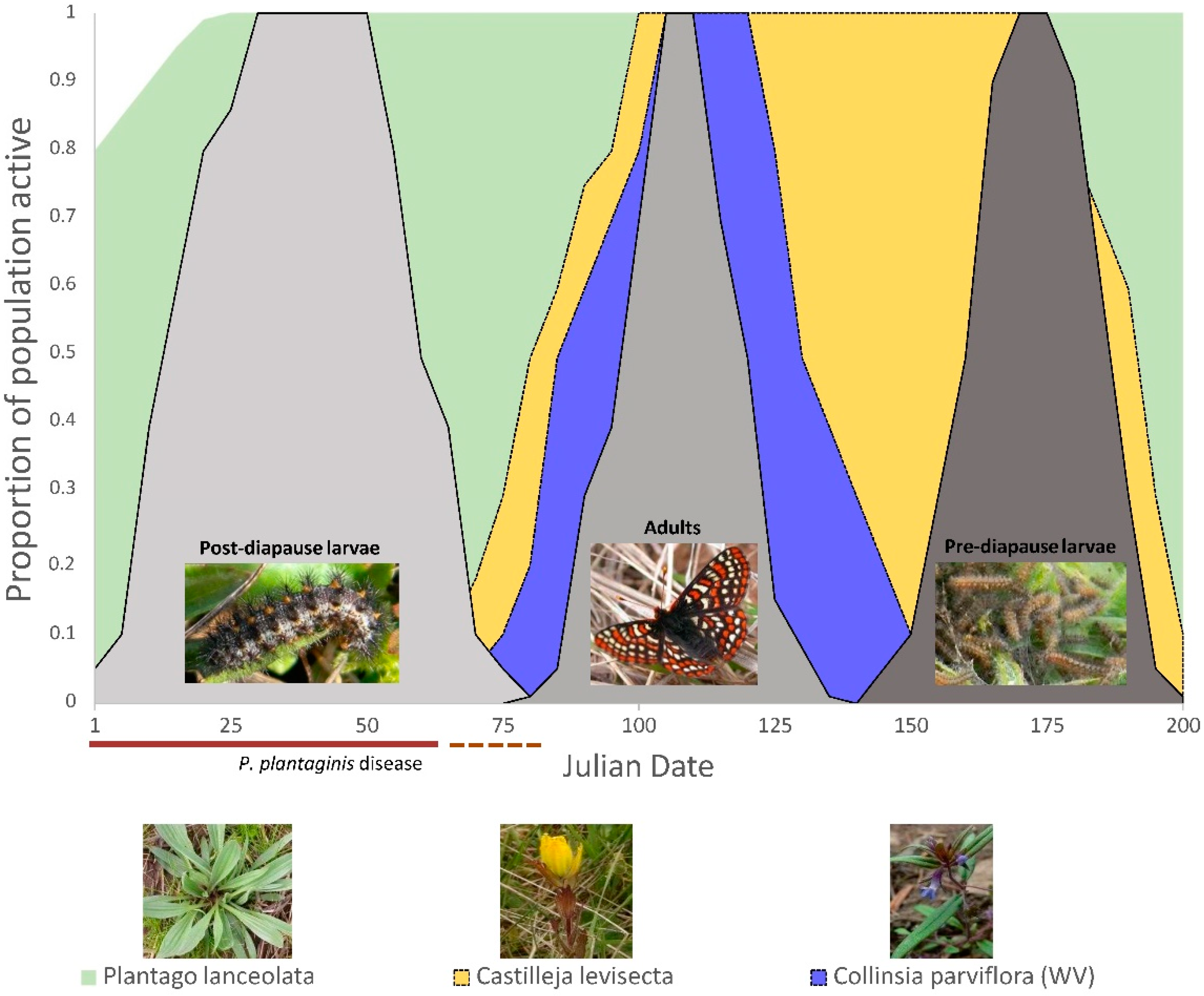 Insects 12 00246 g002
