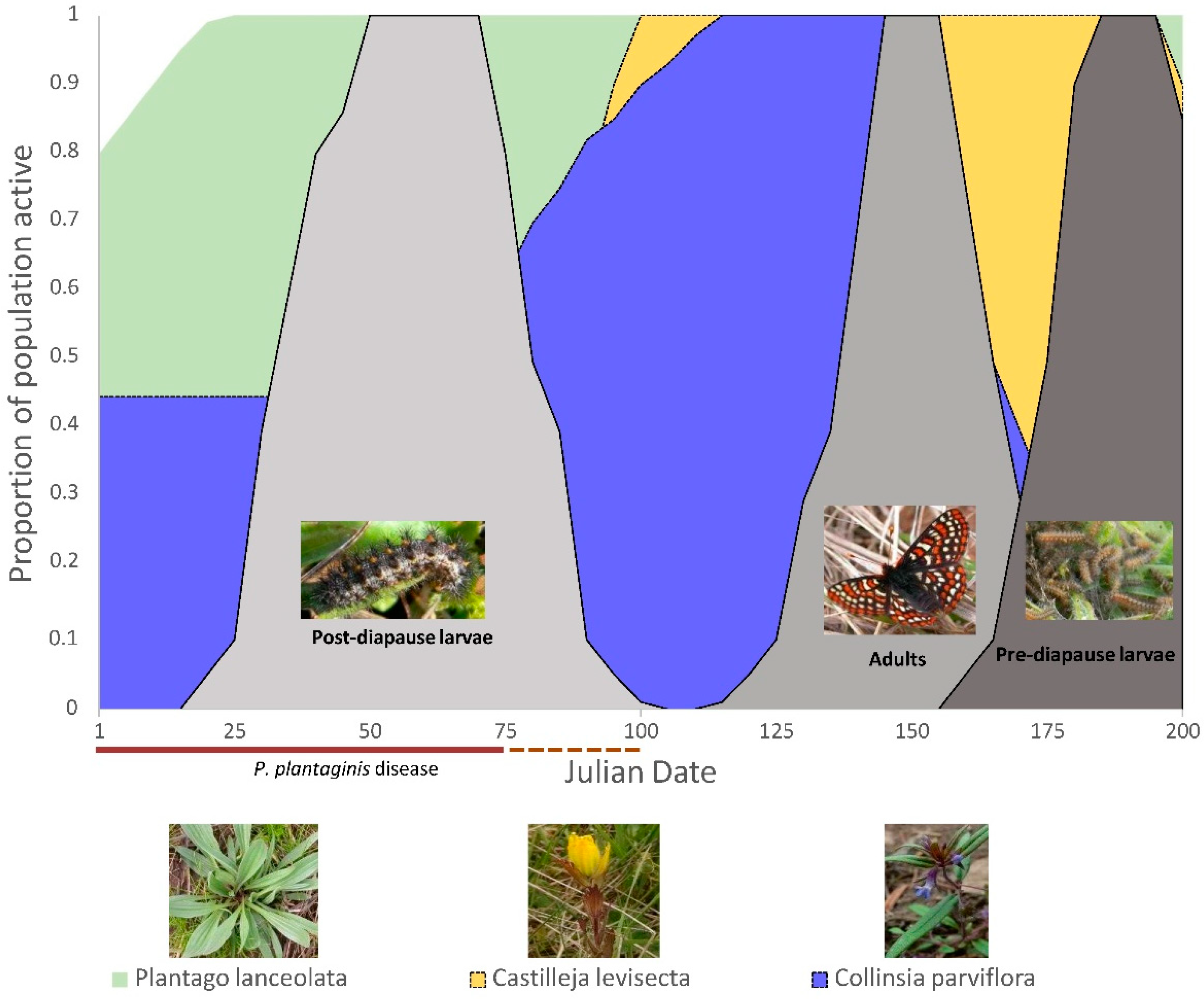 Insects 12 00246 g003