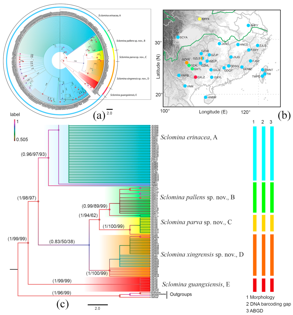 Insects 12 00251 g001