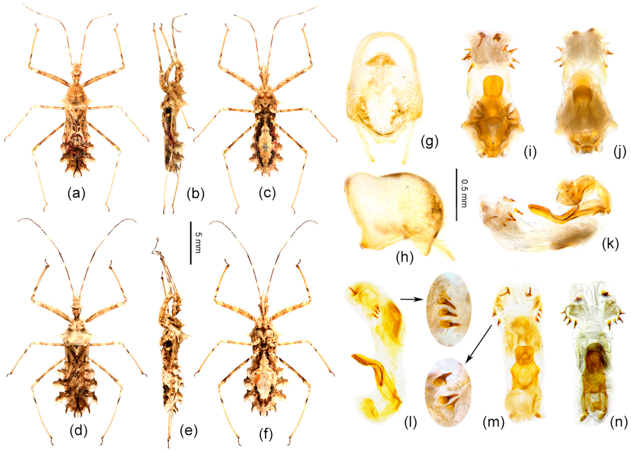 Insects 12 00251 g011