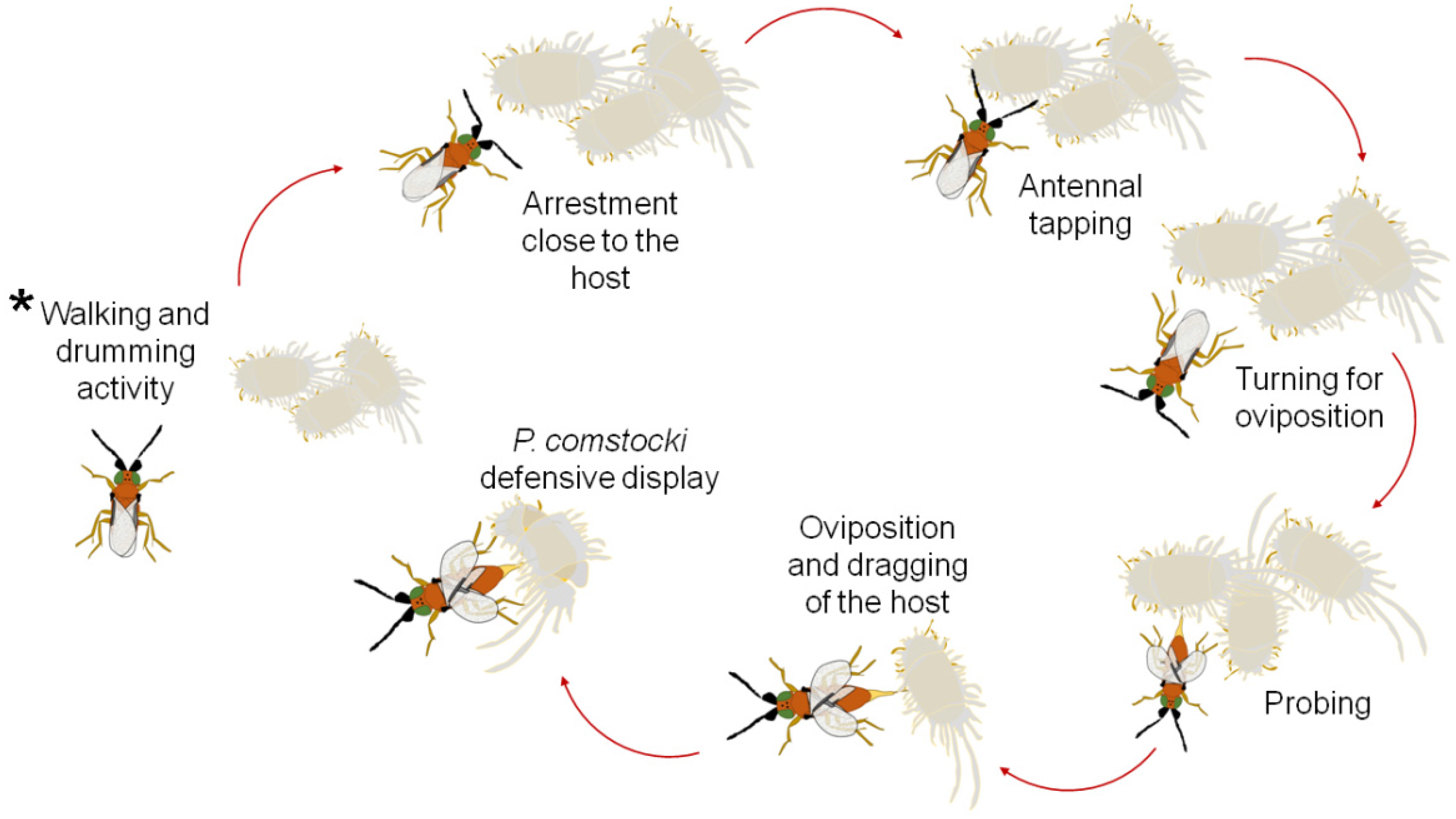 Insects 12 00257 g001