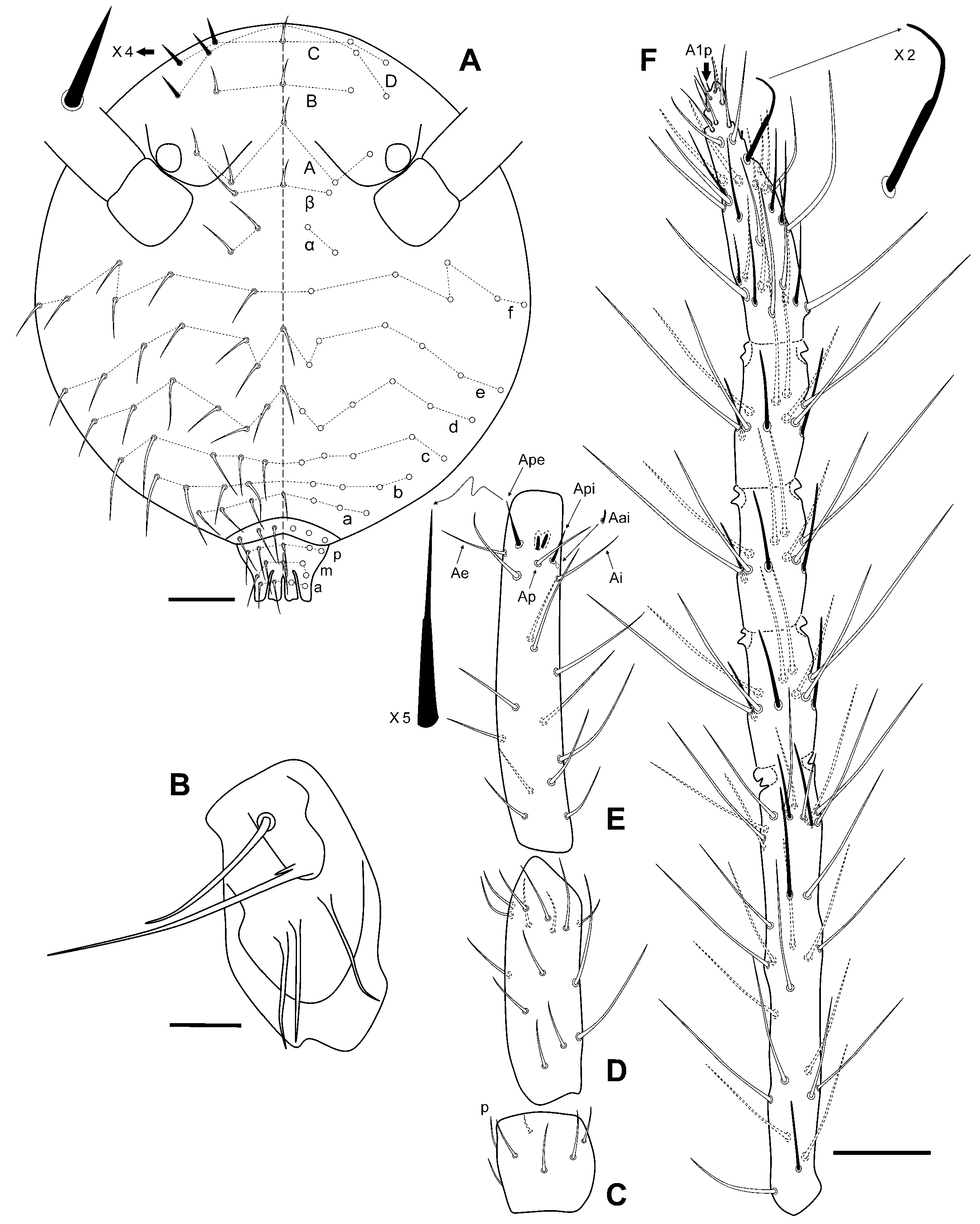 Insects 12 00266 g004 Insects 12 00266 g004