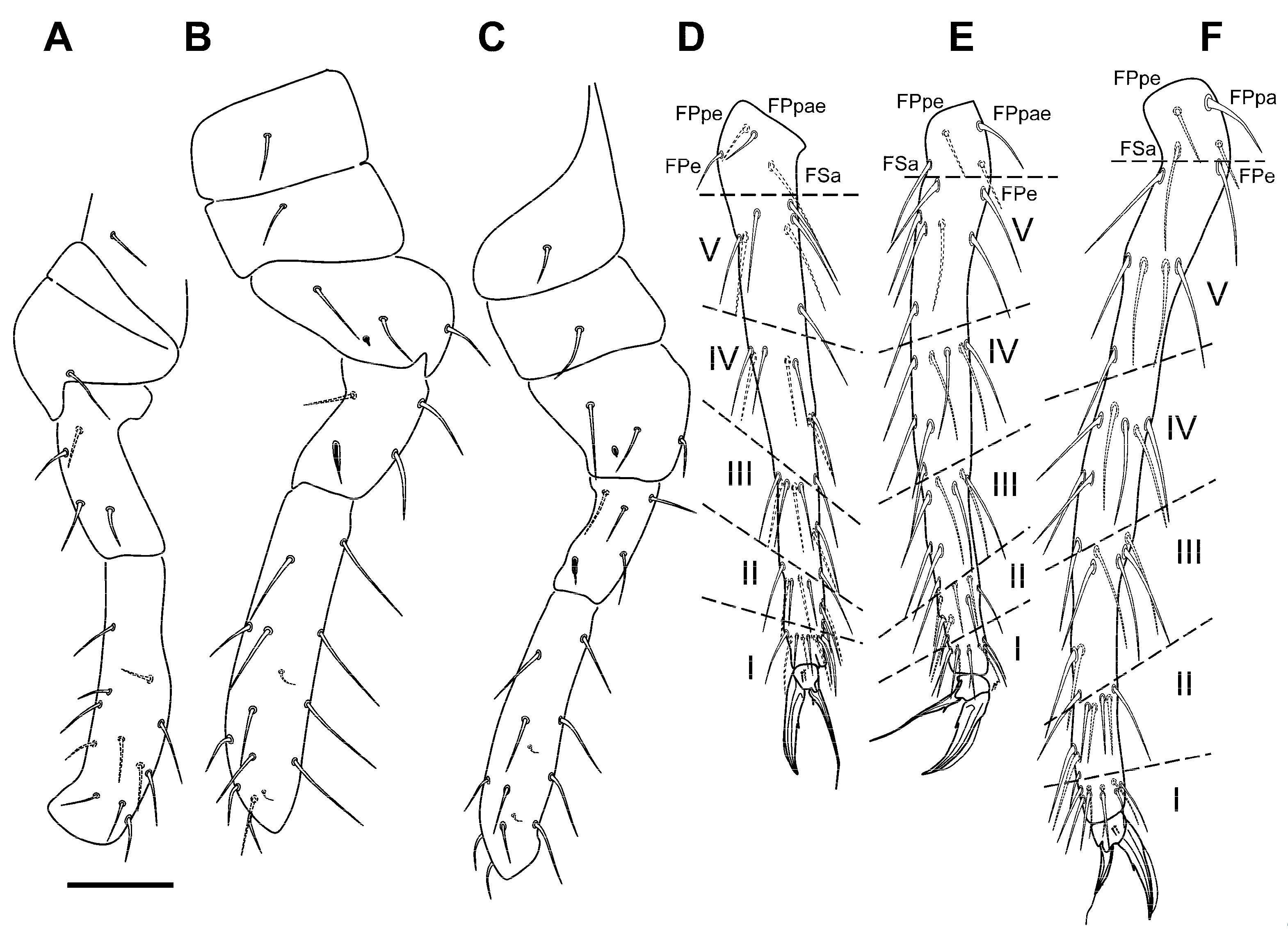 Insects 12 00266 g005 Insects 12 00266 g005