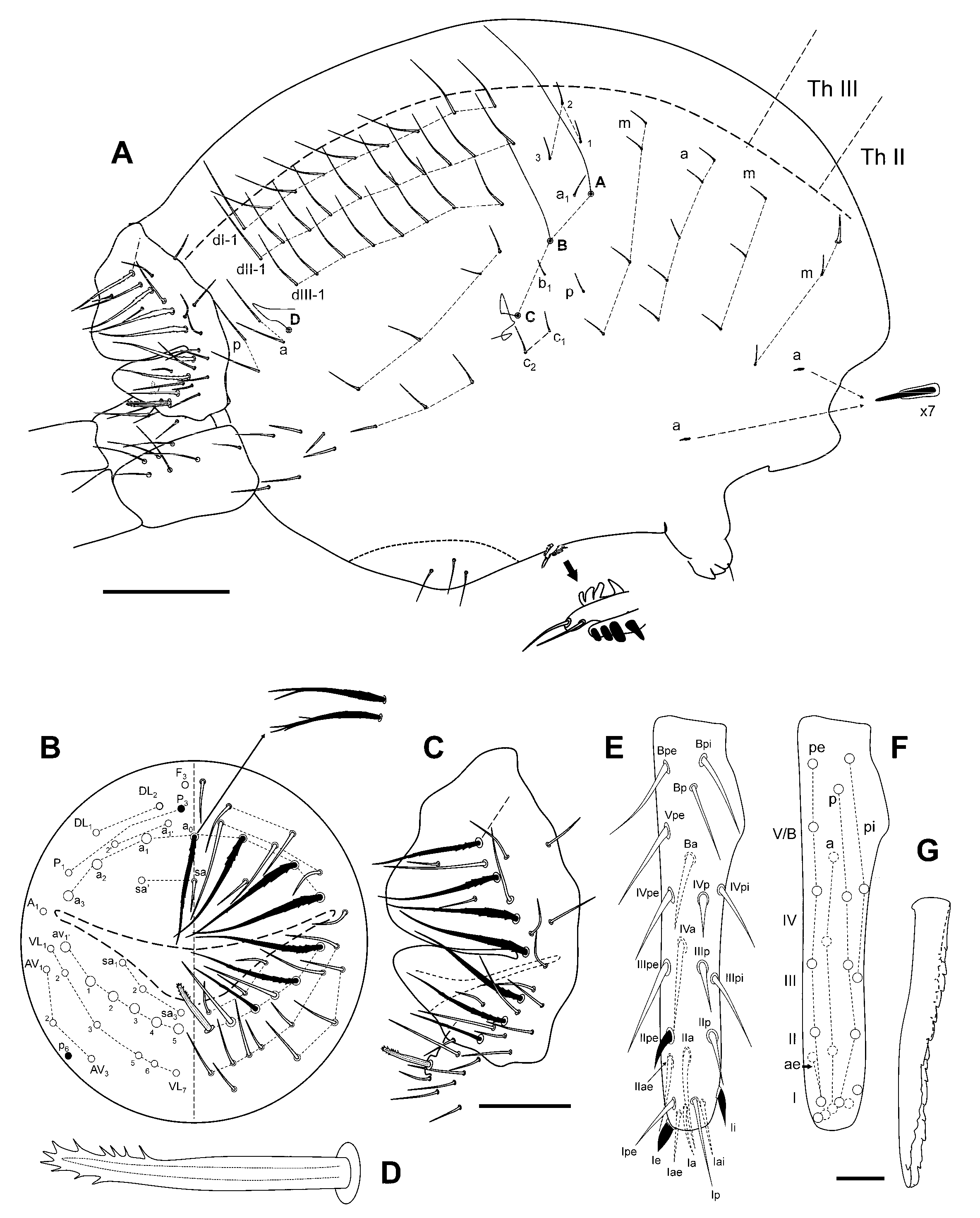 Insects 12 00266 g006 Insects 12 00266 g006