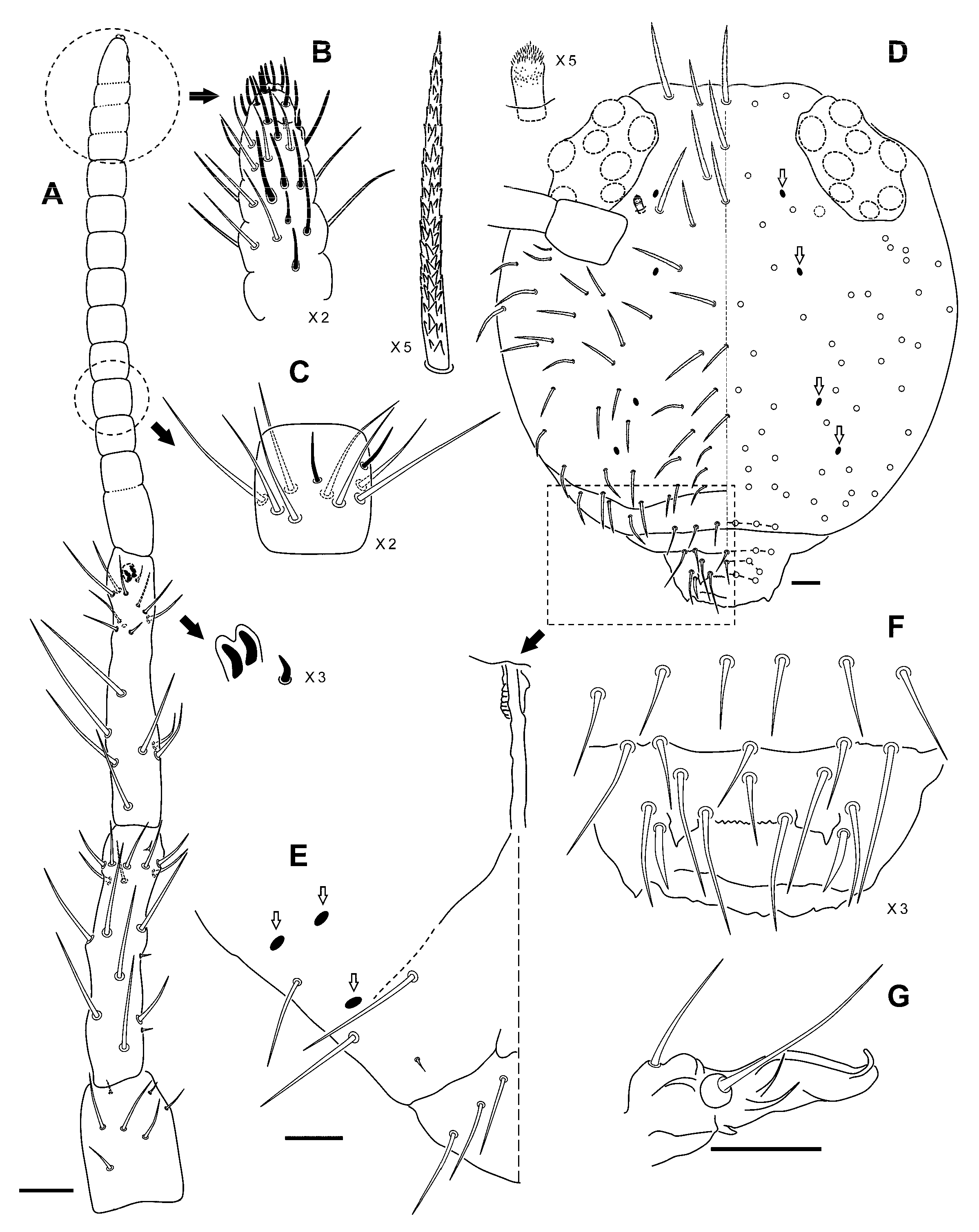 Insects 12 00266 g007 Insects 12 00266 g007