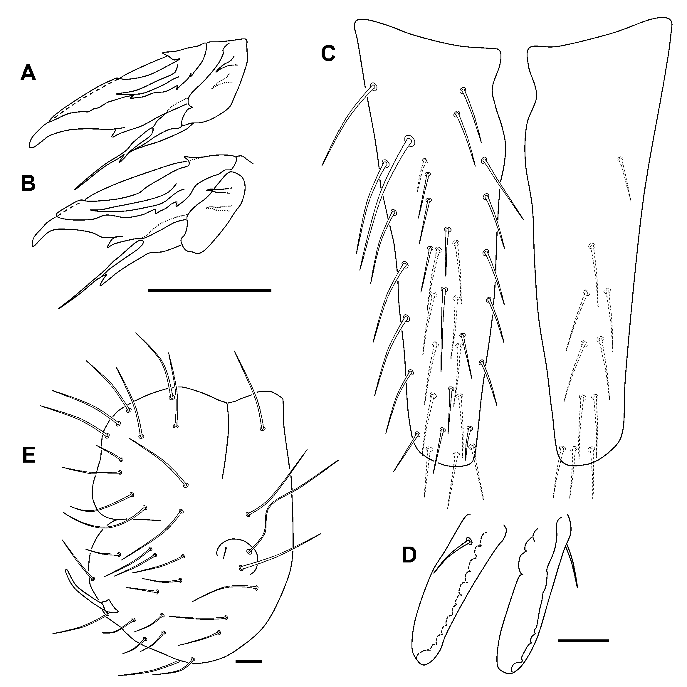 Insects 12 00266 g008 Insects 12 00266 g008