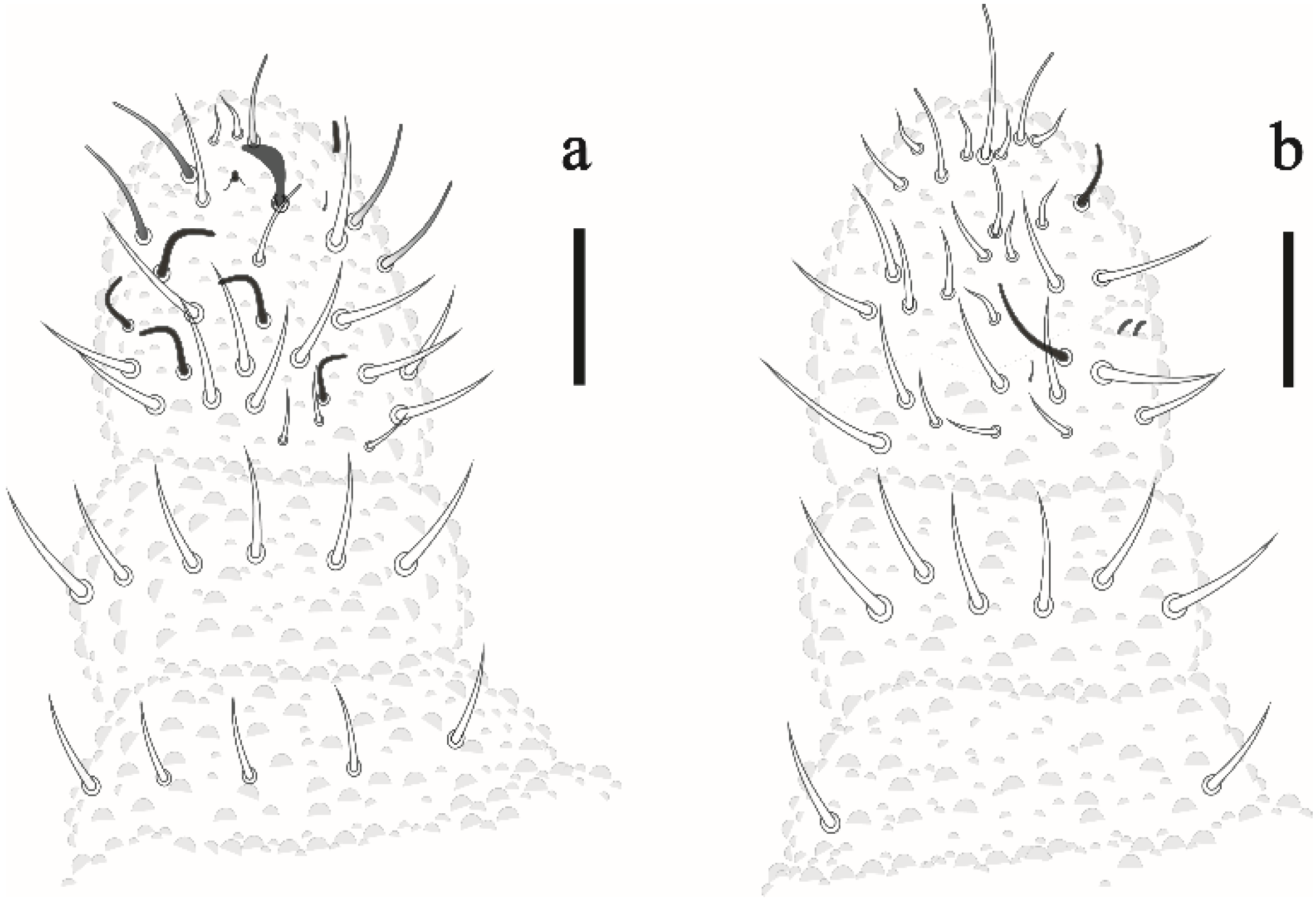 Insects 12 00268 g002 Insects 12 00268 g002