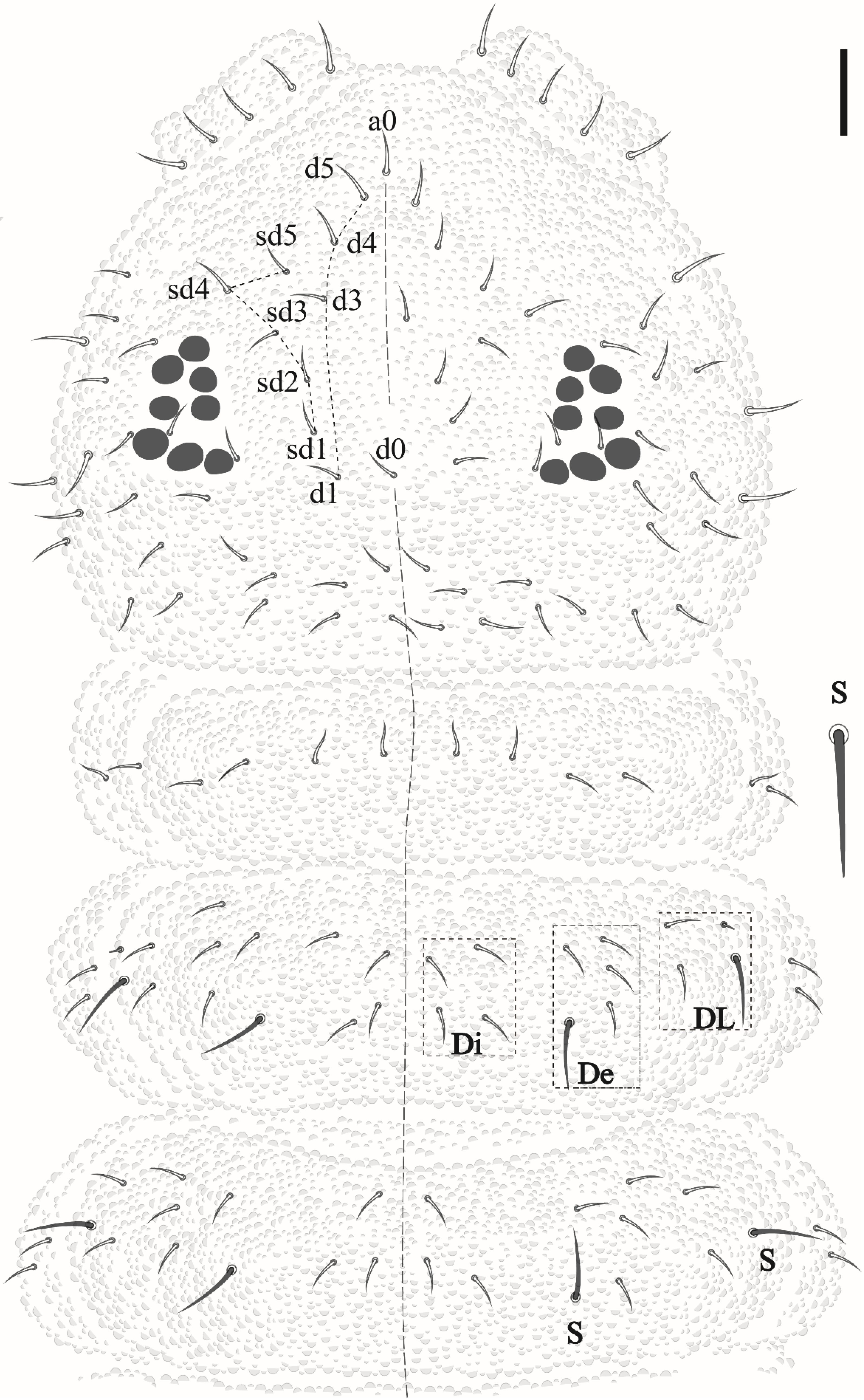 Insects 12 00268 g003 Insects 12 00268 g003