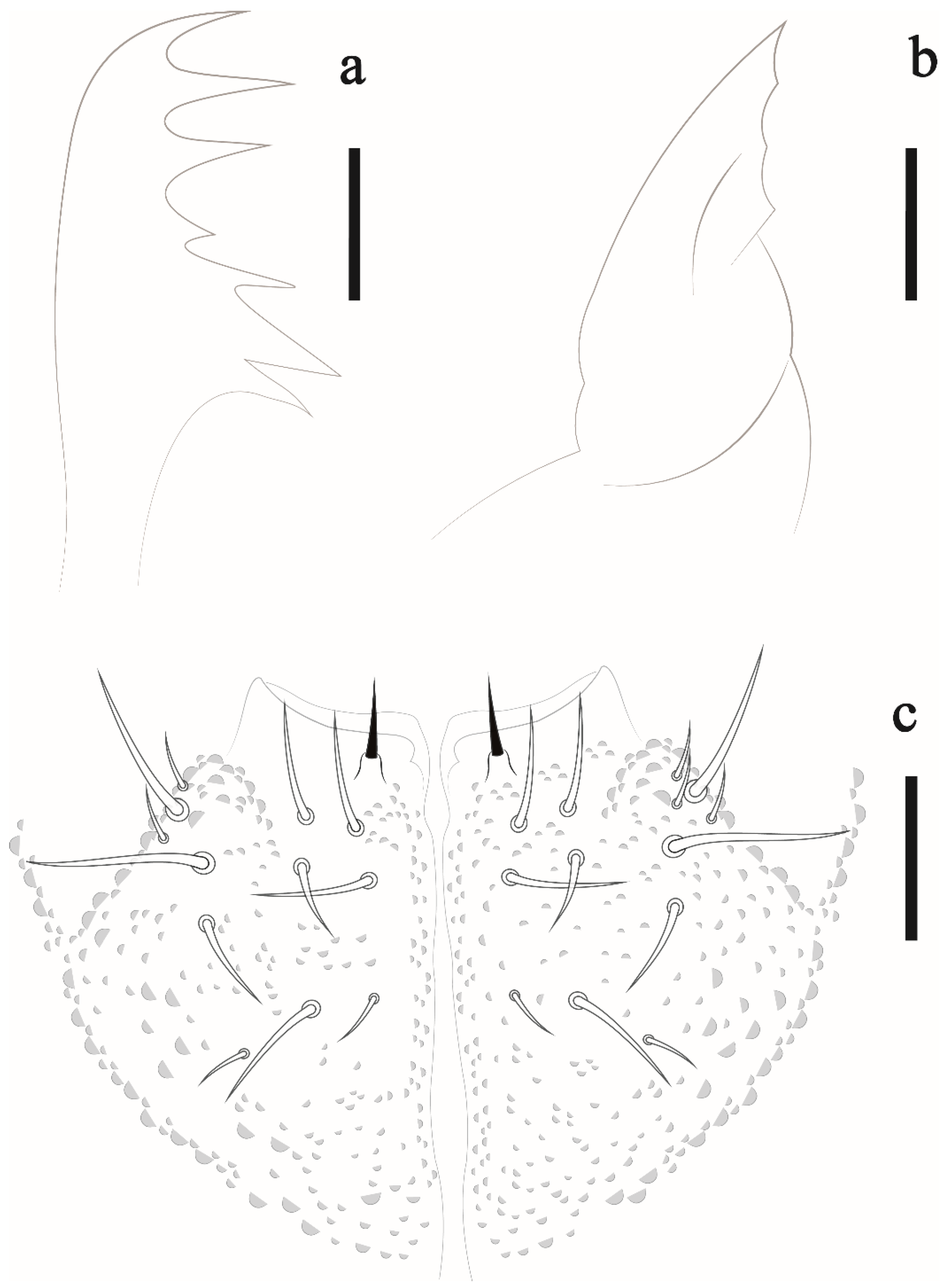 Insects 12 00268 g004 Insects 12 00268 g004