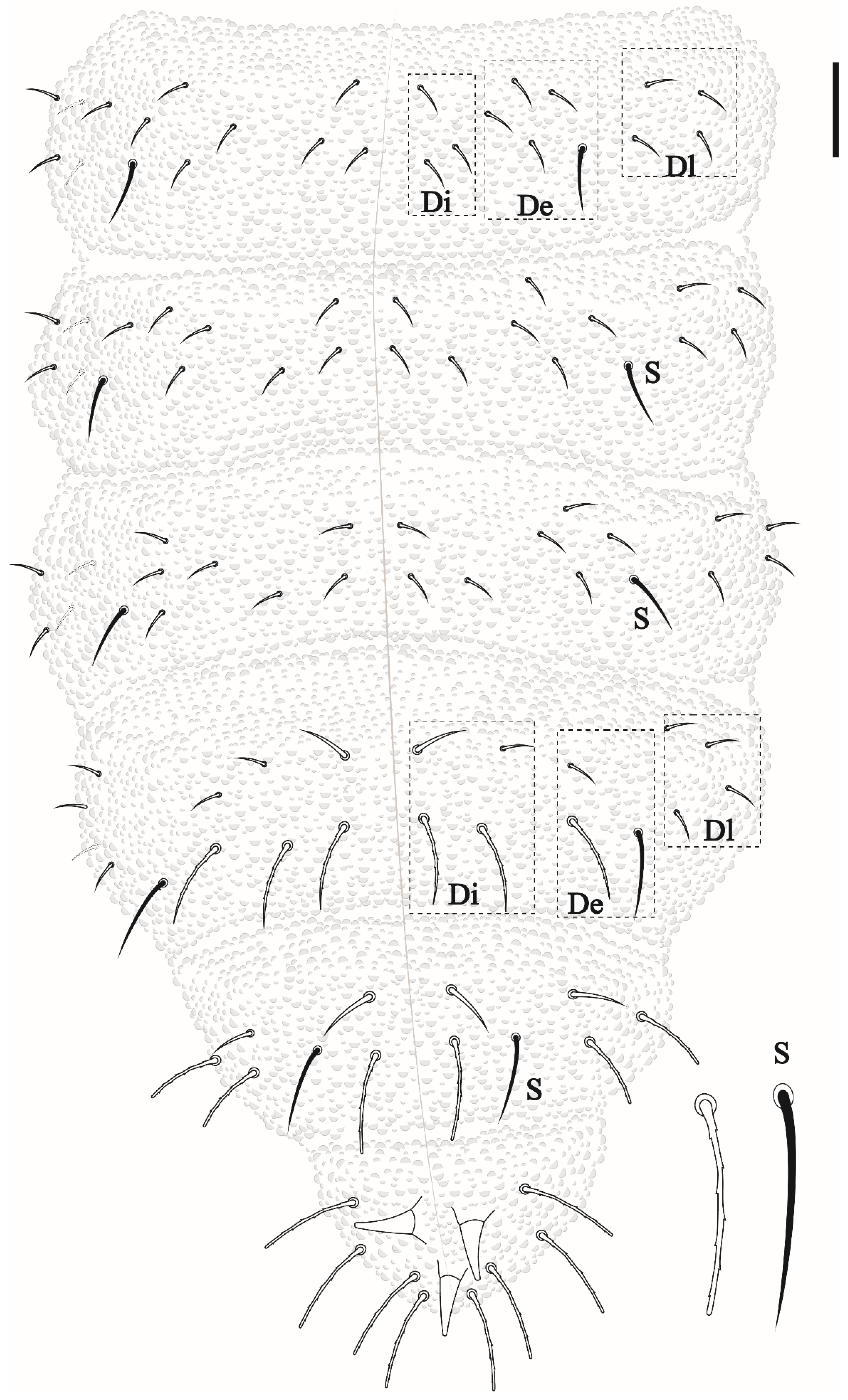 Insects 12 00268 g005 Insects 12 00268 g005