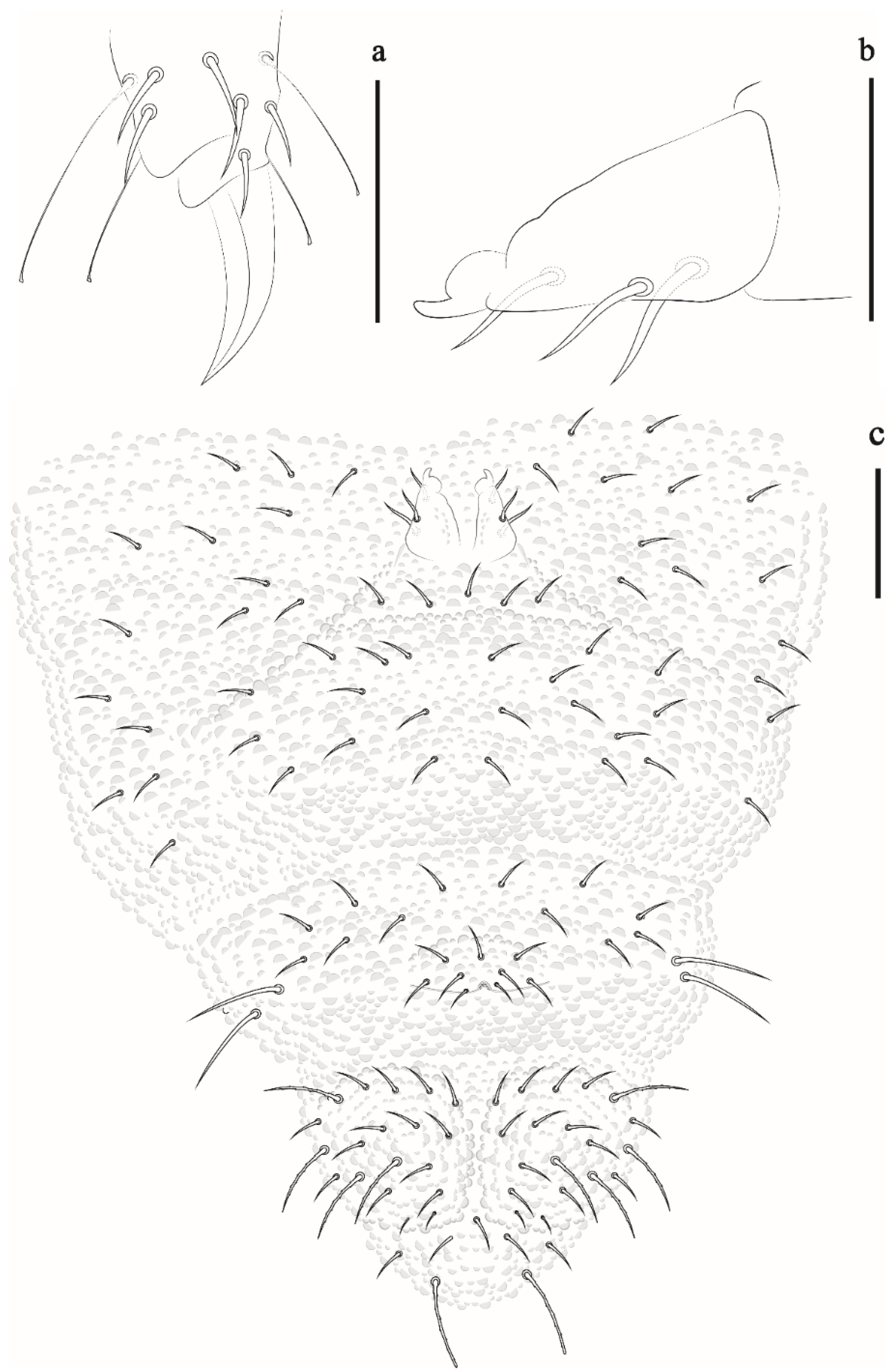 Insects 12 00268 g006 Insects 12 00268 g006