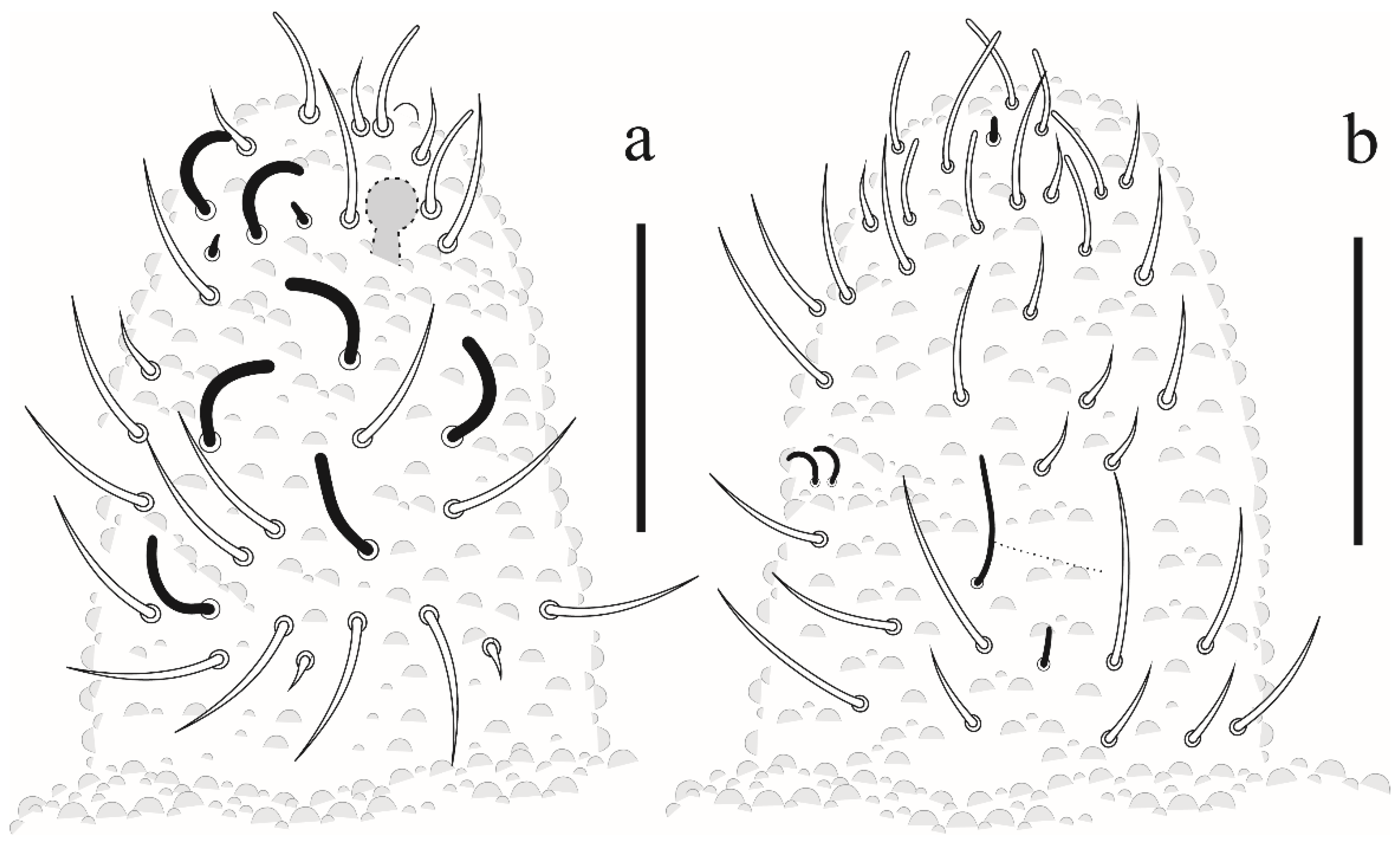 Insects 12 00268 g007 Insects 12 00268 g007