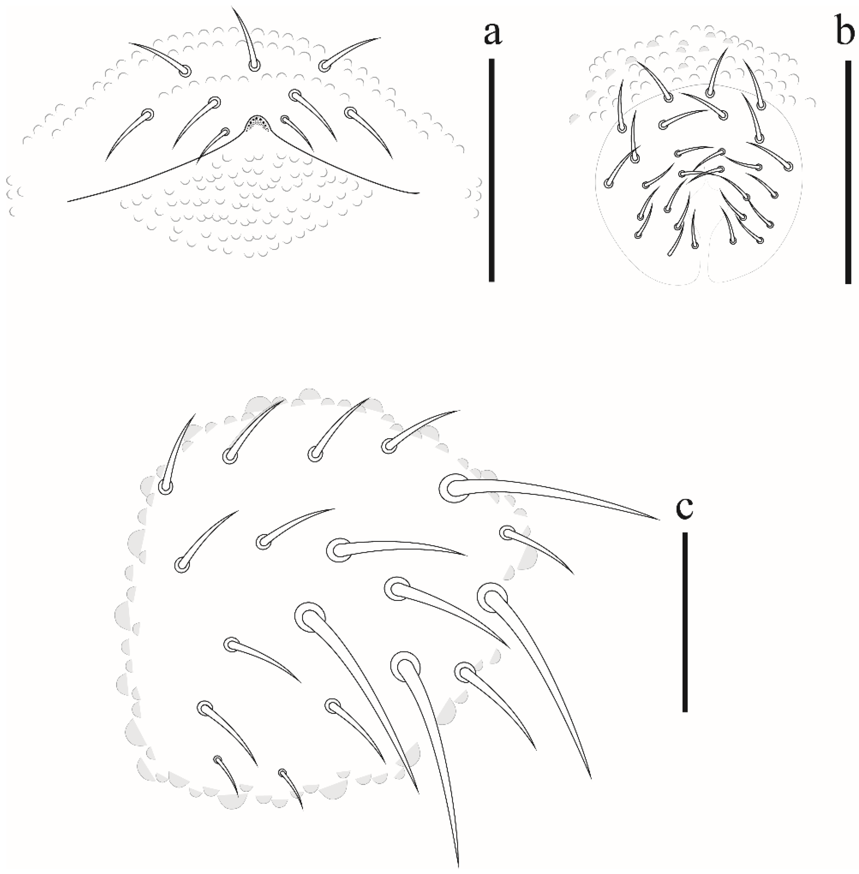 Insects 12 00268 g009 Insects 12 00268 g009