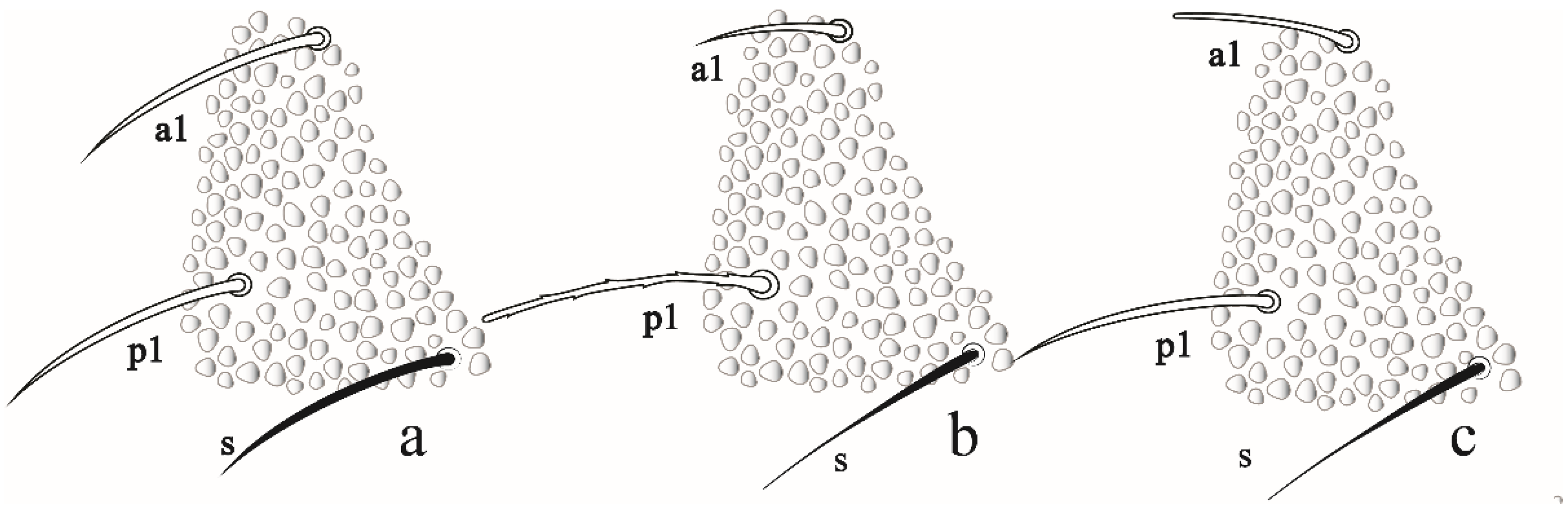 Insects 12 00268 g010 Insects 12 00268 g010