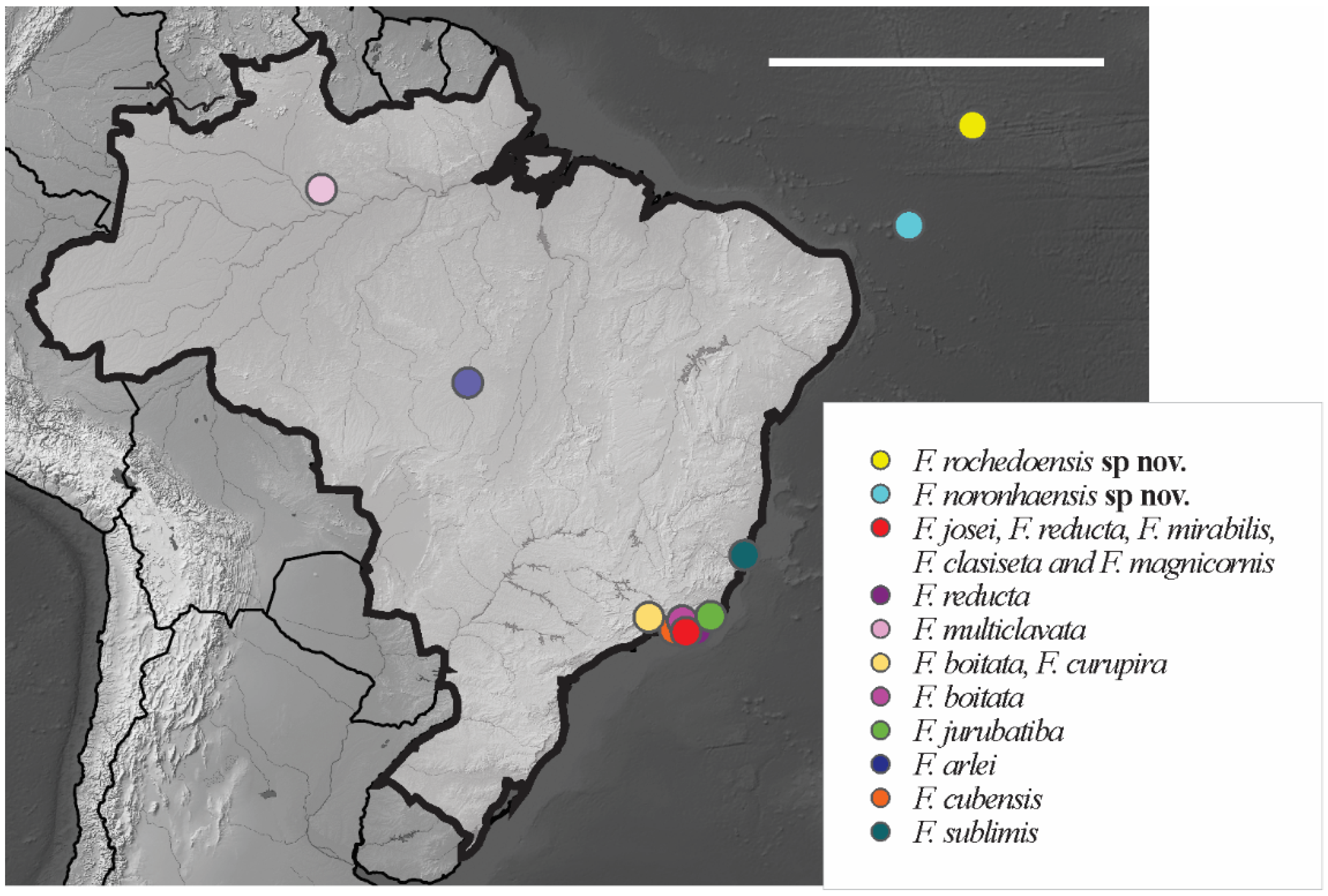 Insects 12 00268 g011 Insects 12 00268 g011