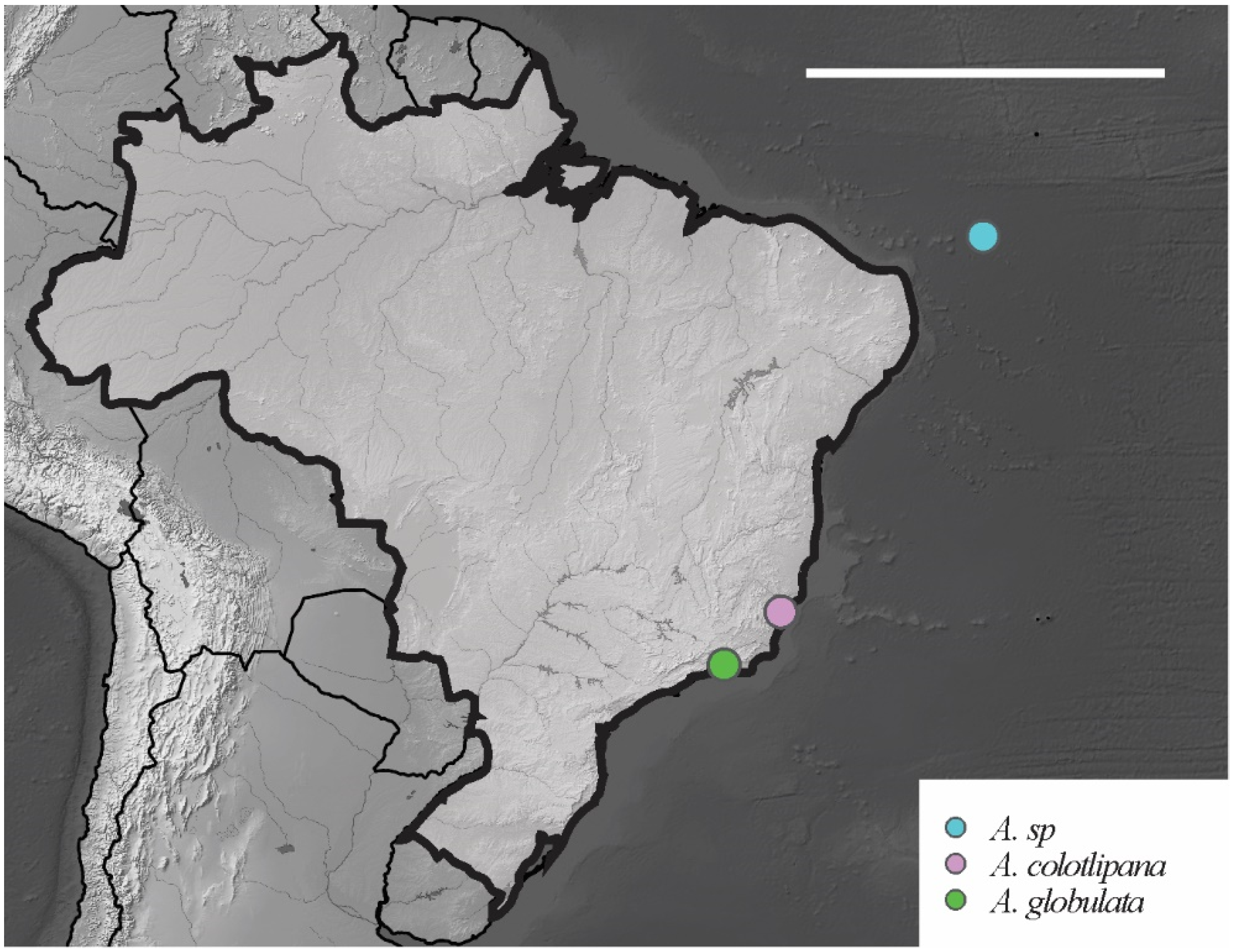 Insects 12 00268 g014 Insects 12 00268 g014