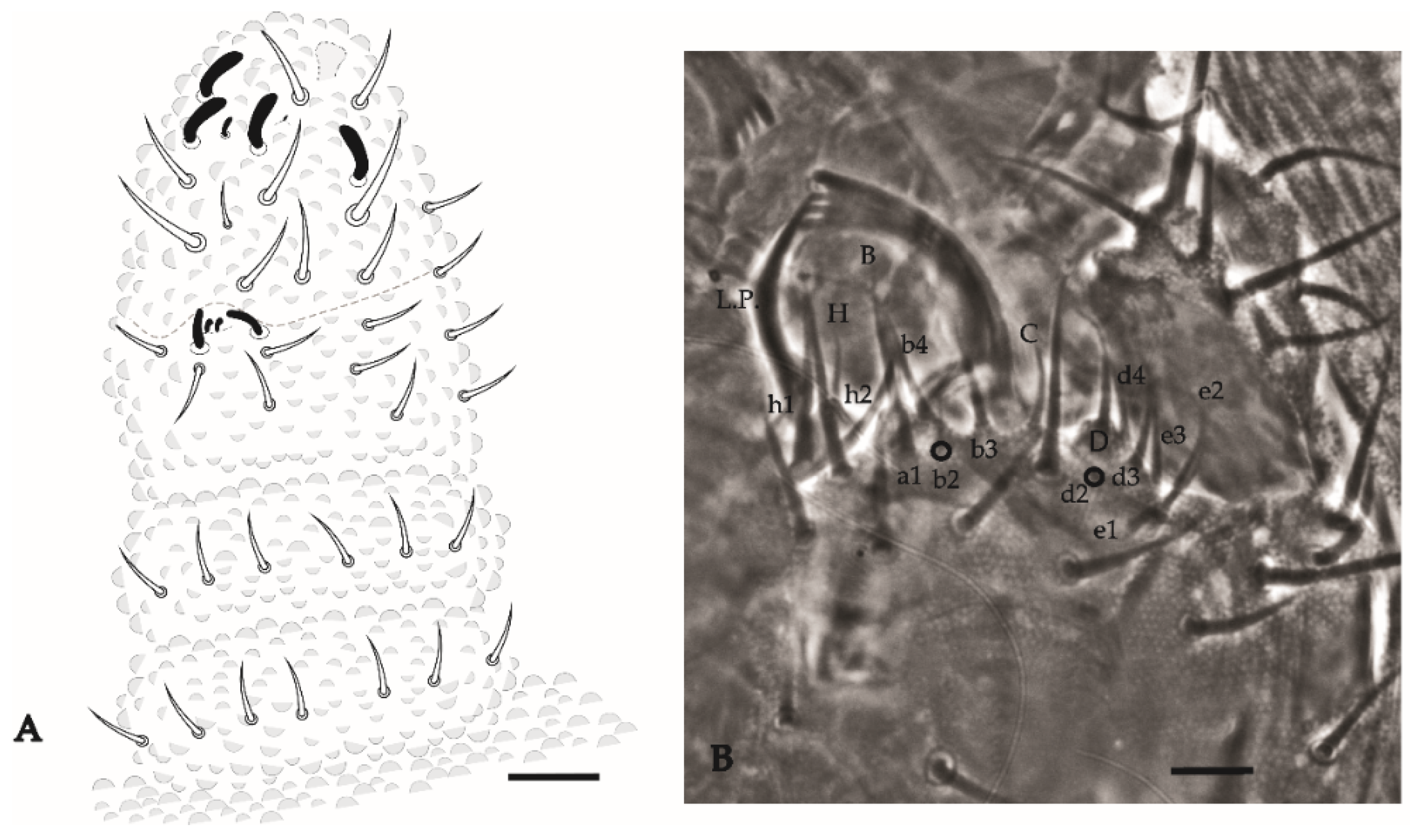 Insects 12 00268 g015 Insects 12 00268 g015