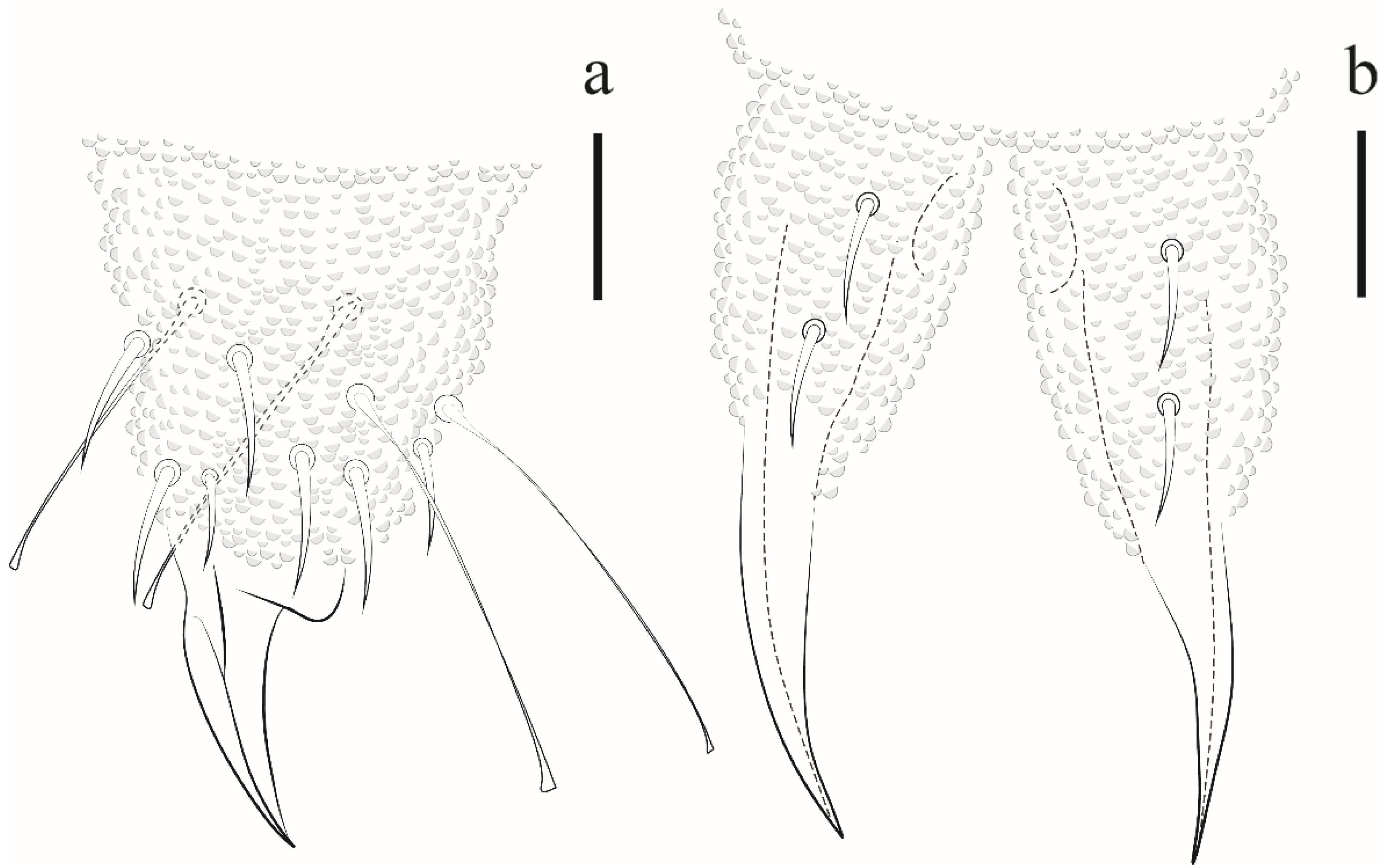 Insects 12 00268 g017 Insects 12 00268 g017