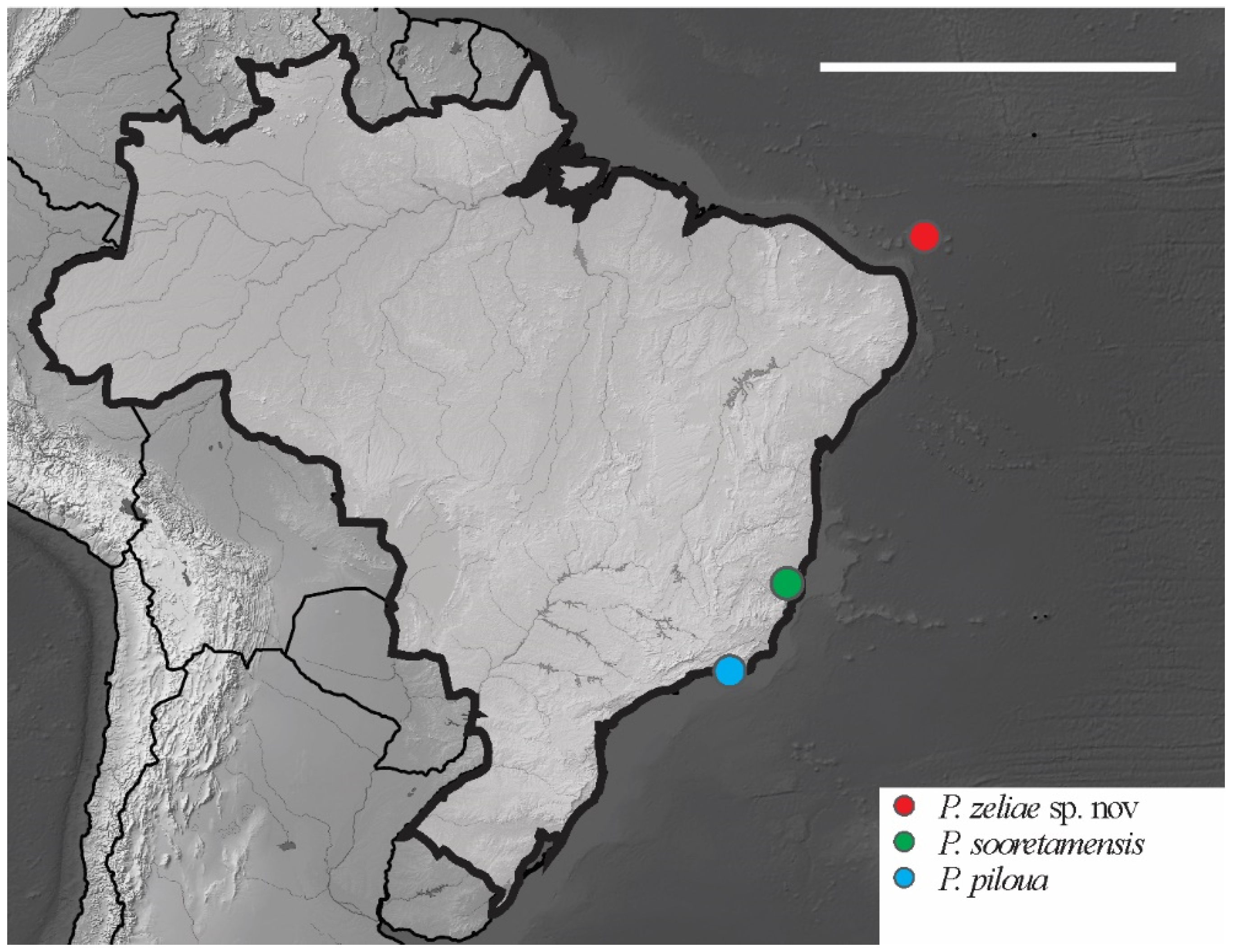 Insects 12 00268 g018 Insects 12 00268 g018