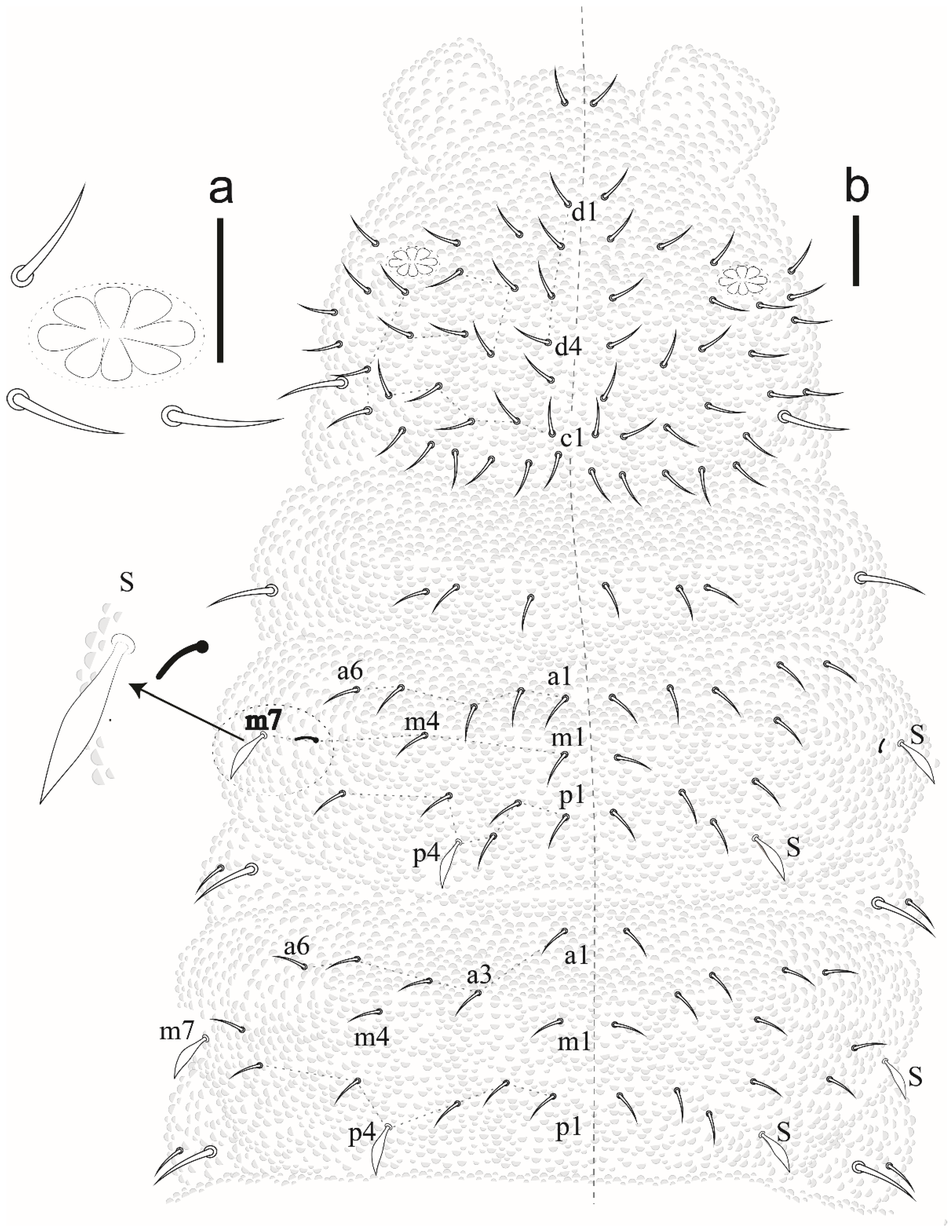 Insects 12 00268 g020 Insects 12 00268 g020