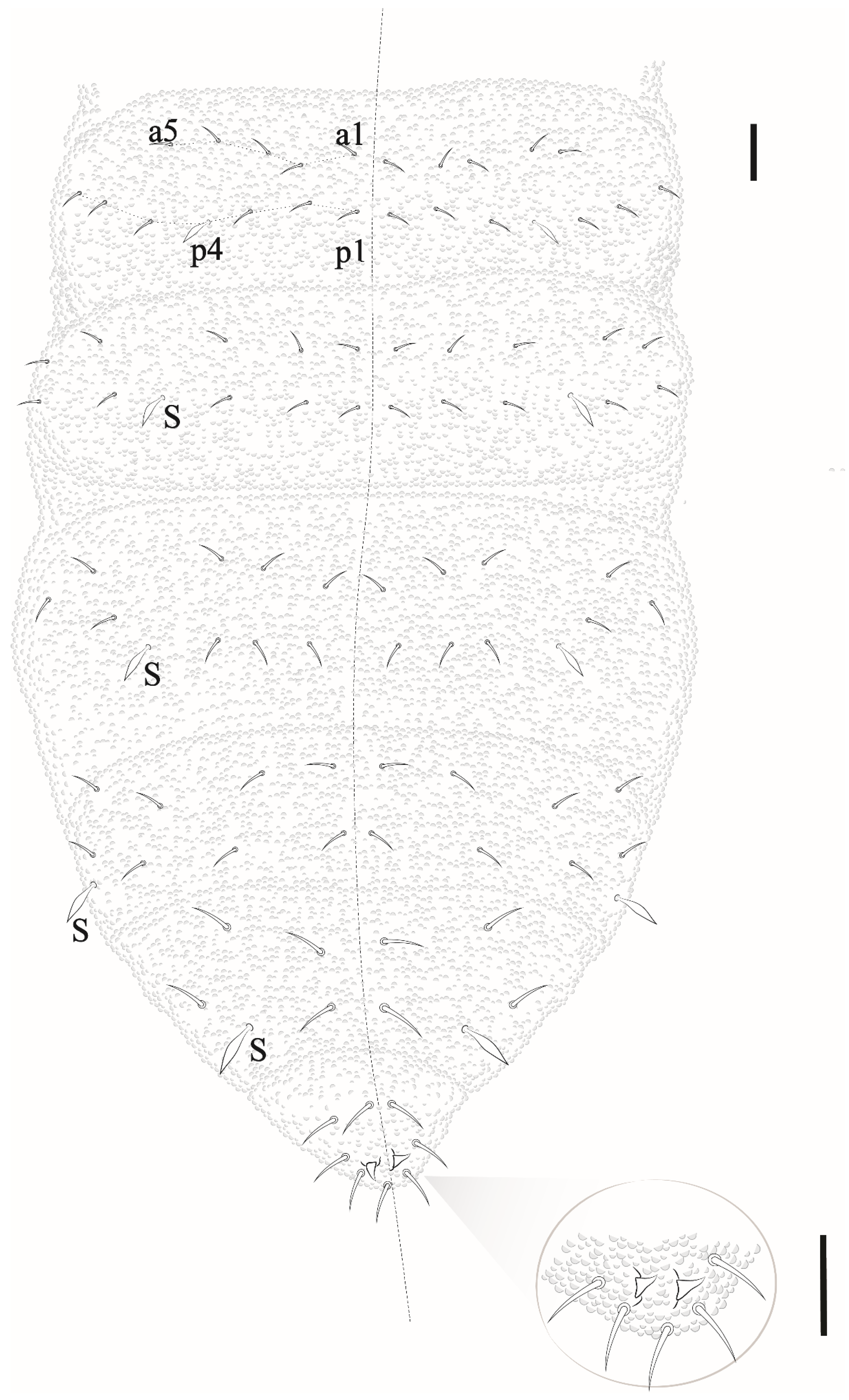 Insects 12 00268 g022 Insects 12 00268 g022