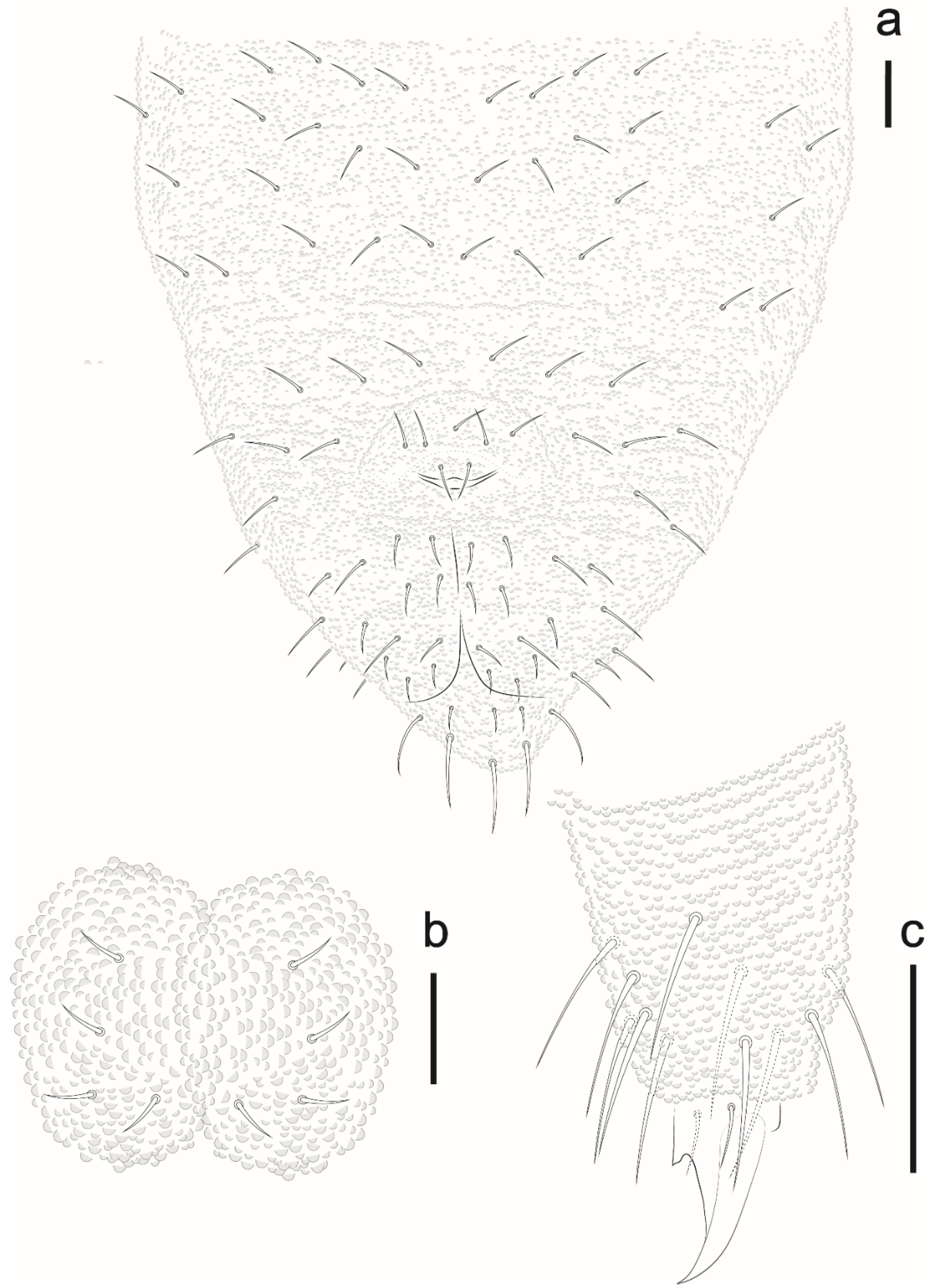 Insects 12 00268 g023 Insects 12 00268 g023