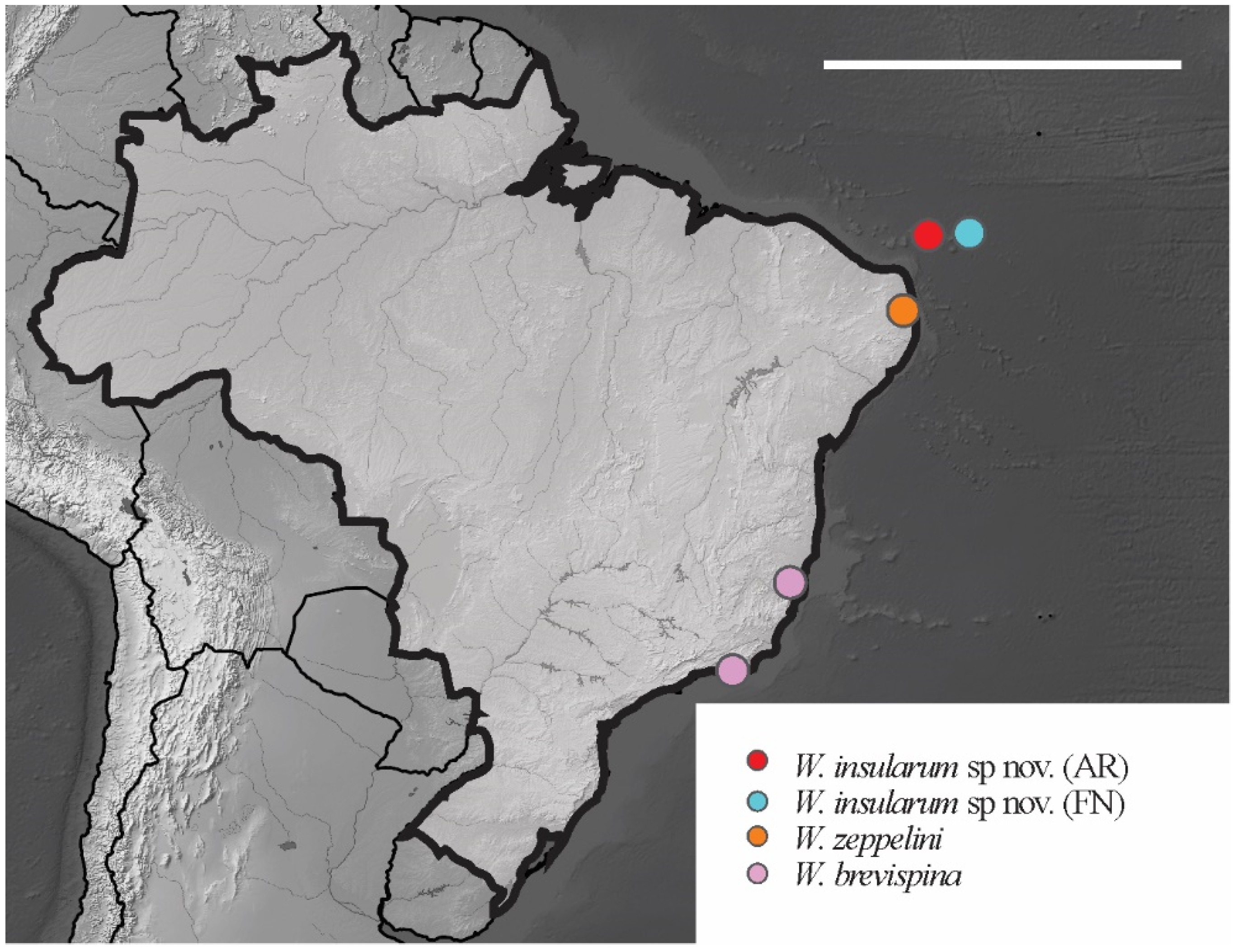 Insects 12 00268 g024 Insects 12 00268 g024