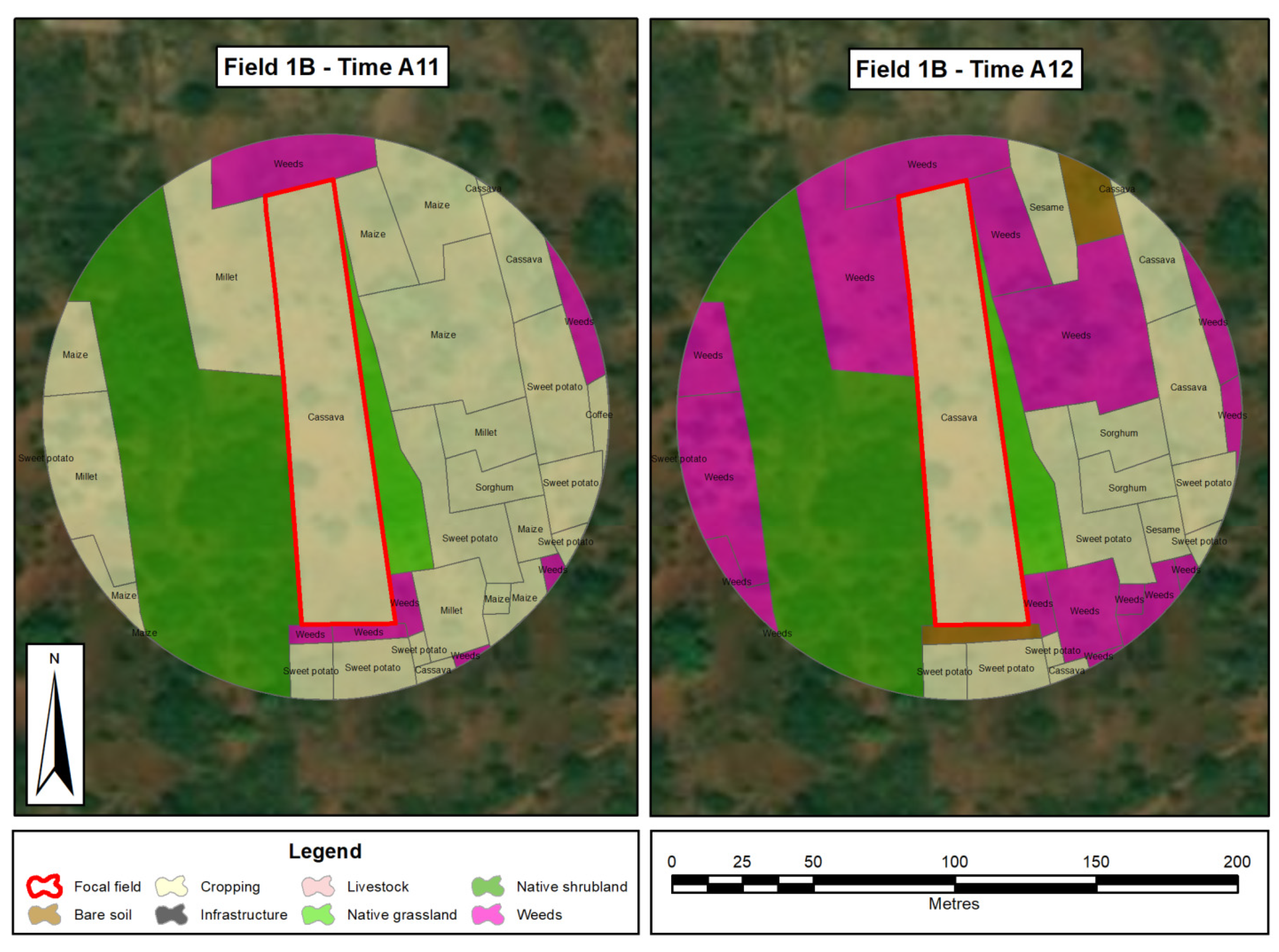 Insects 12 00269 g002