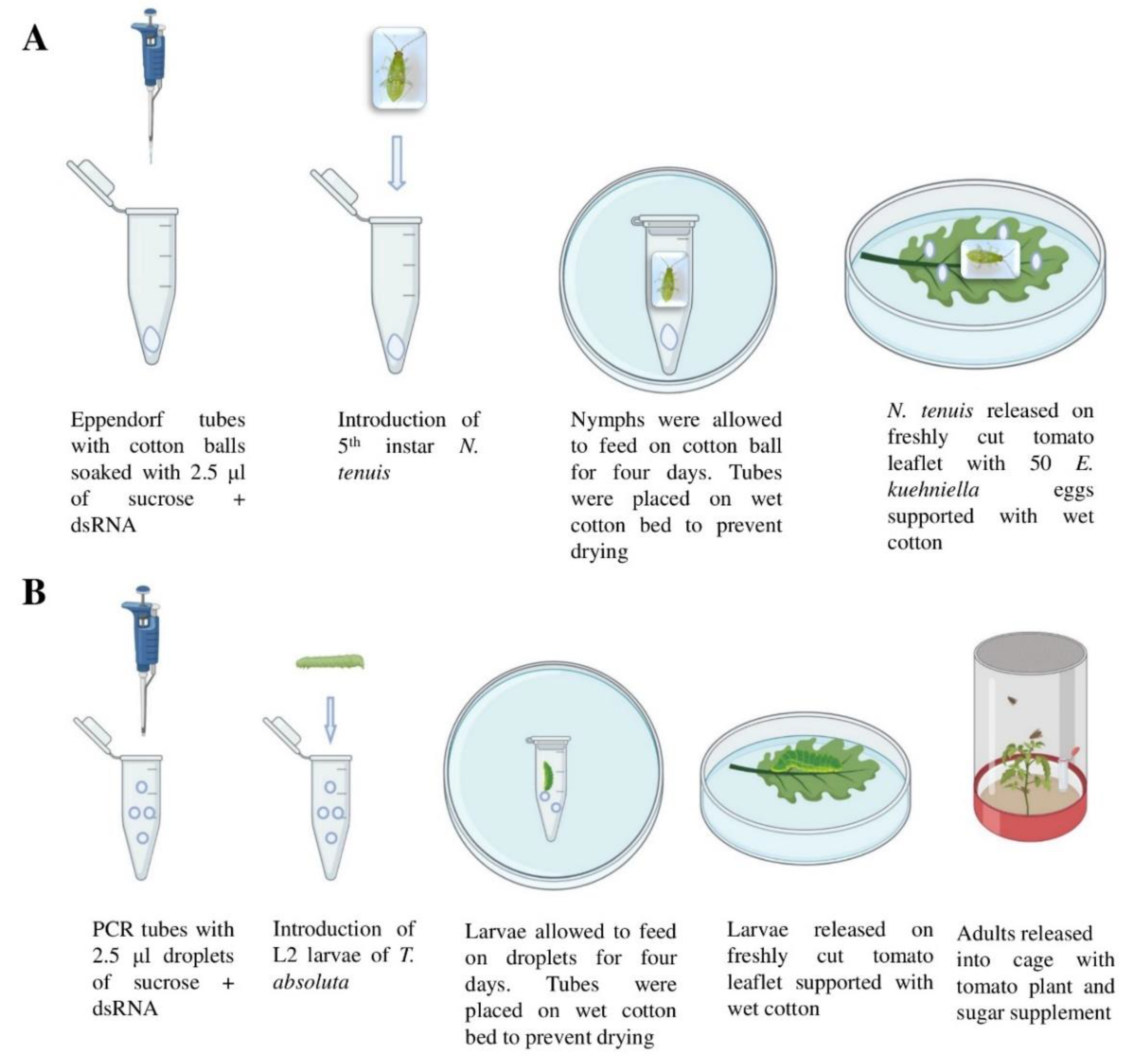 Insects 12 00274 g001 Insects 12 00274 g001